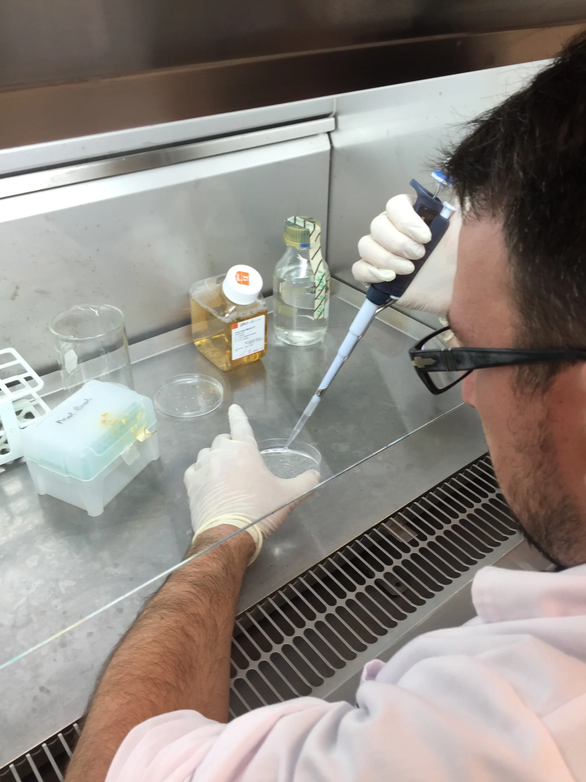 The artist working in the lab.