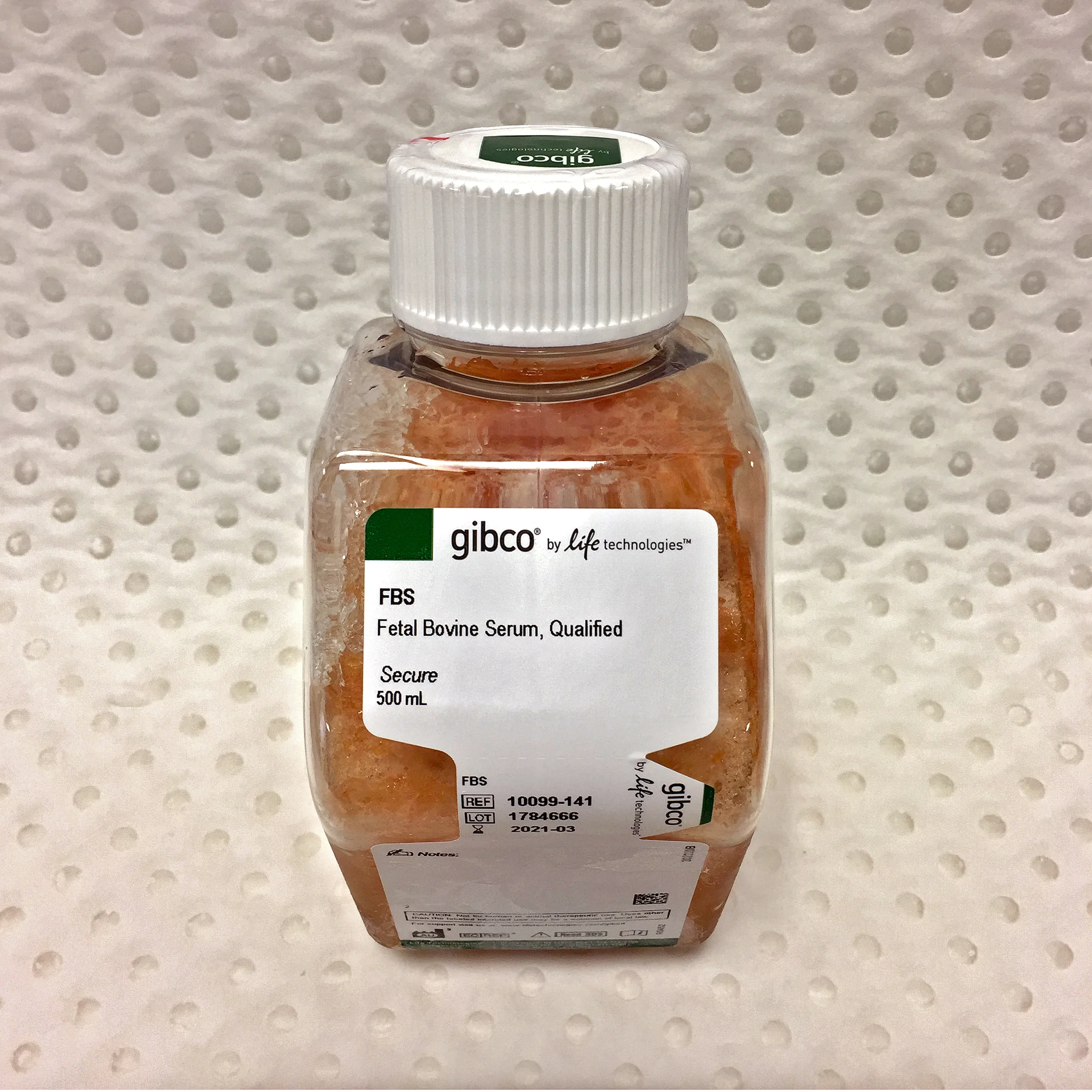 Fetal Bovine Serum (FBS)