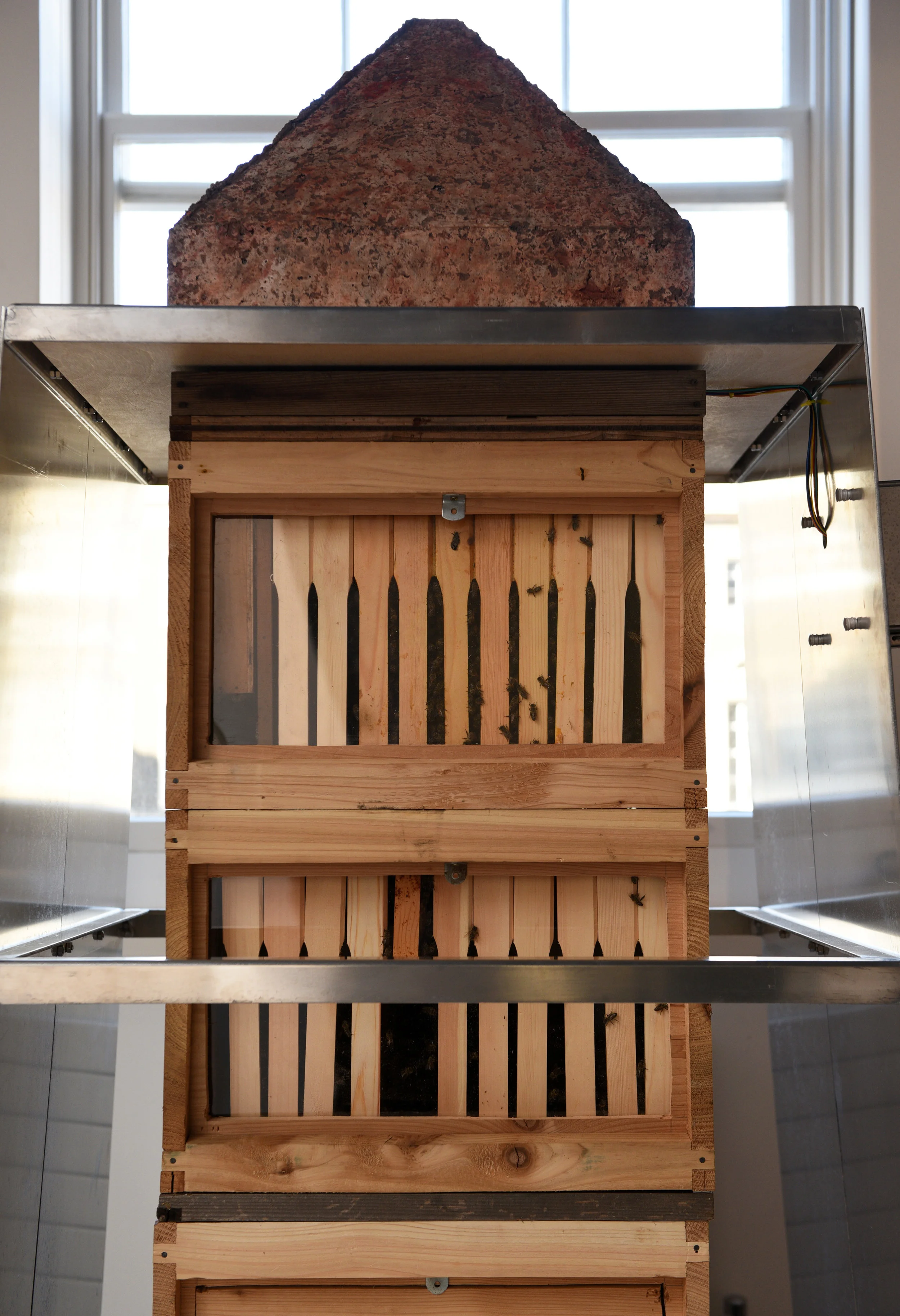 Hivecubator 2.0, 2019. Installation at the Science Gallery London