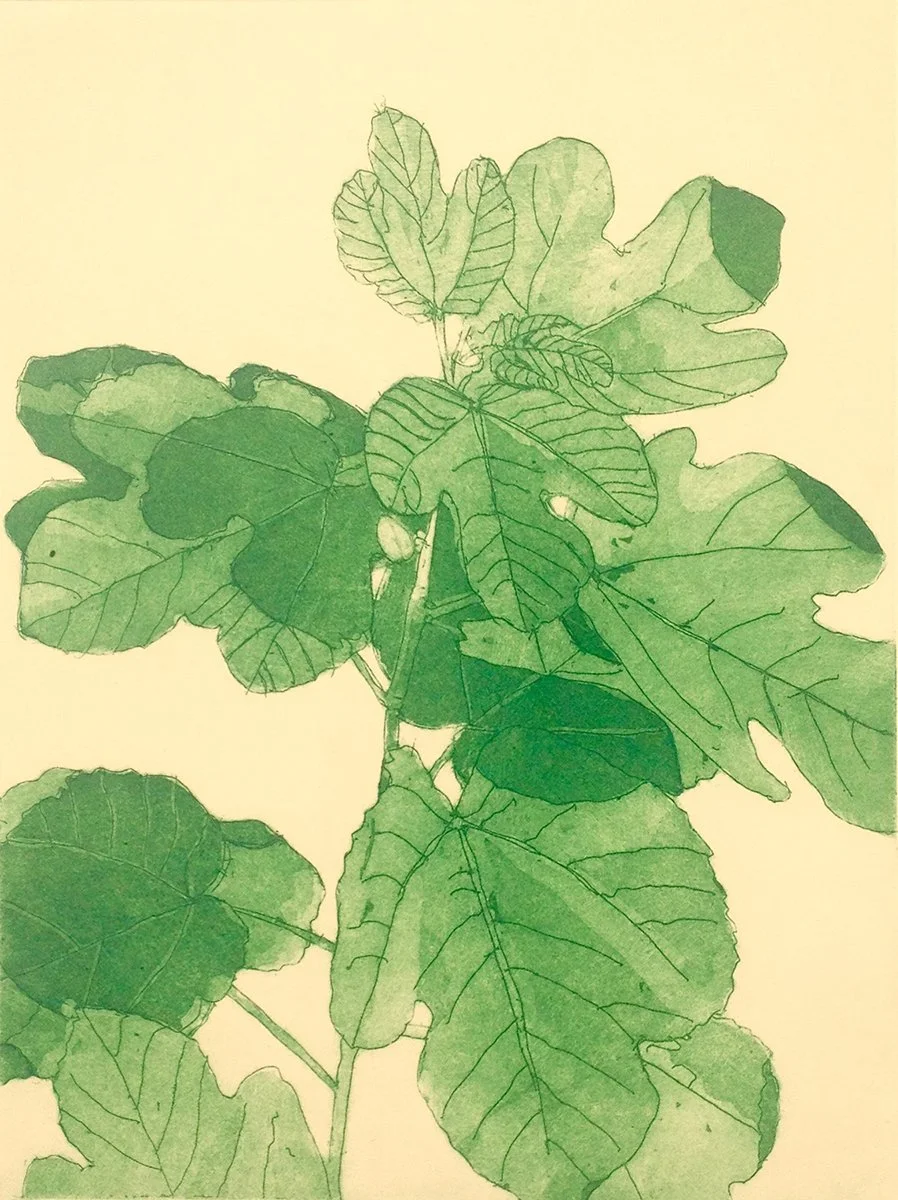 Small Fig Tree III 4 inches Mary D. Ott.jpg