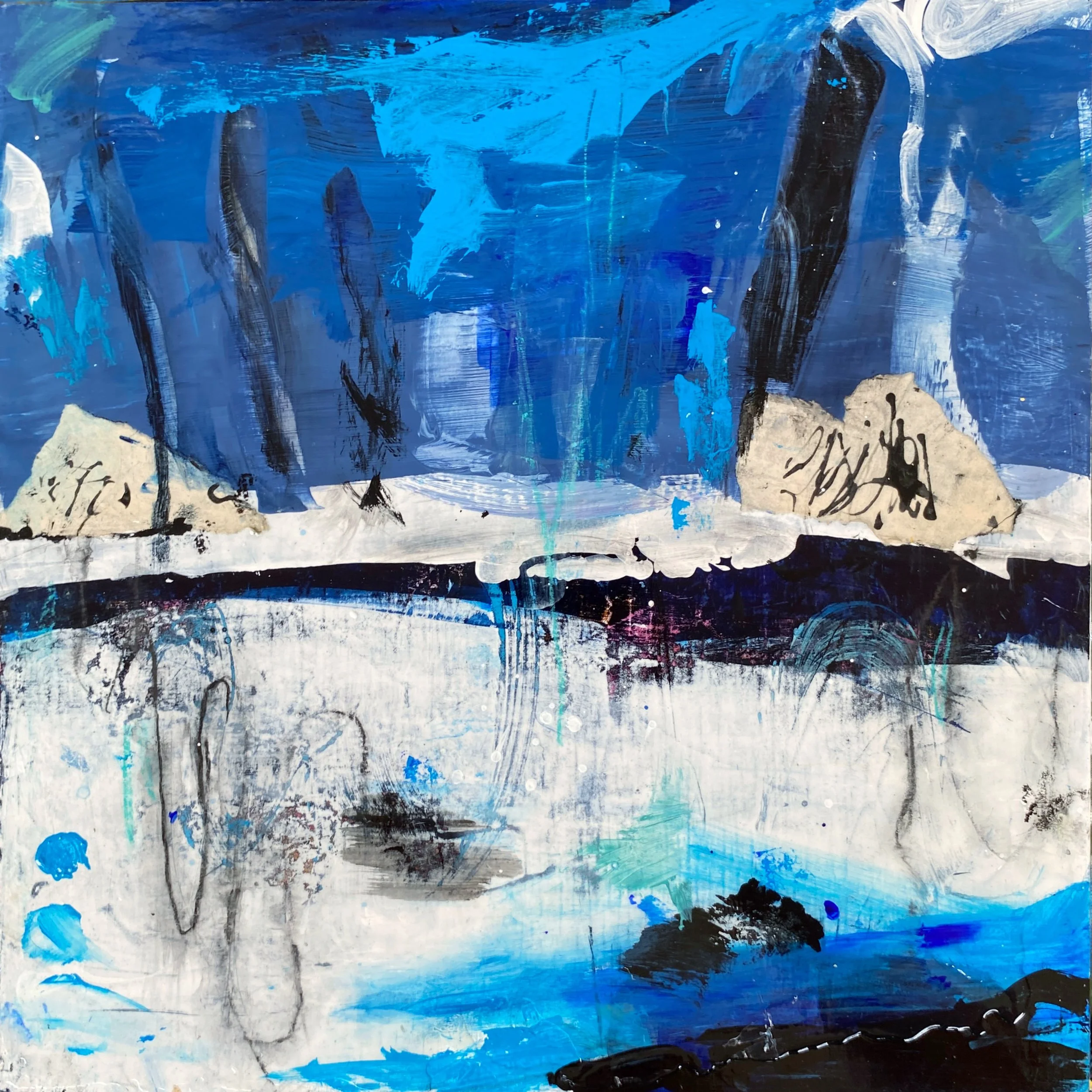 Susan Dykeman - DykemanSoloAmericanDipper.JPG