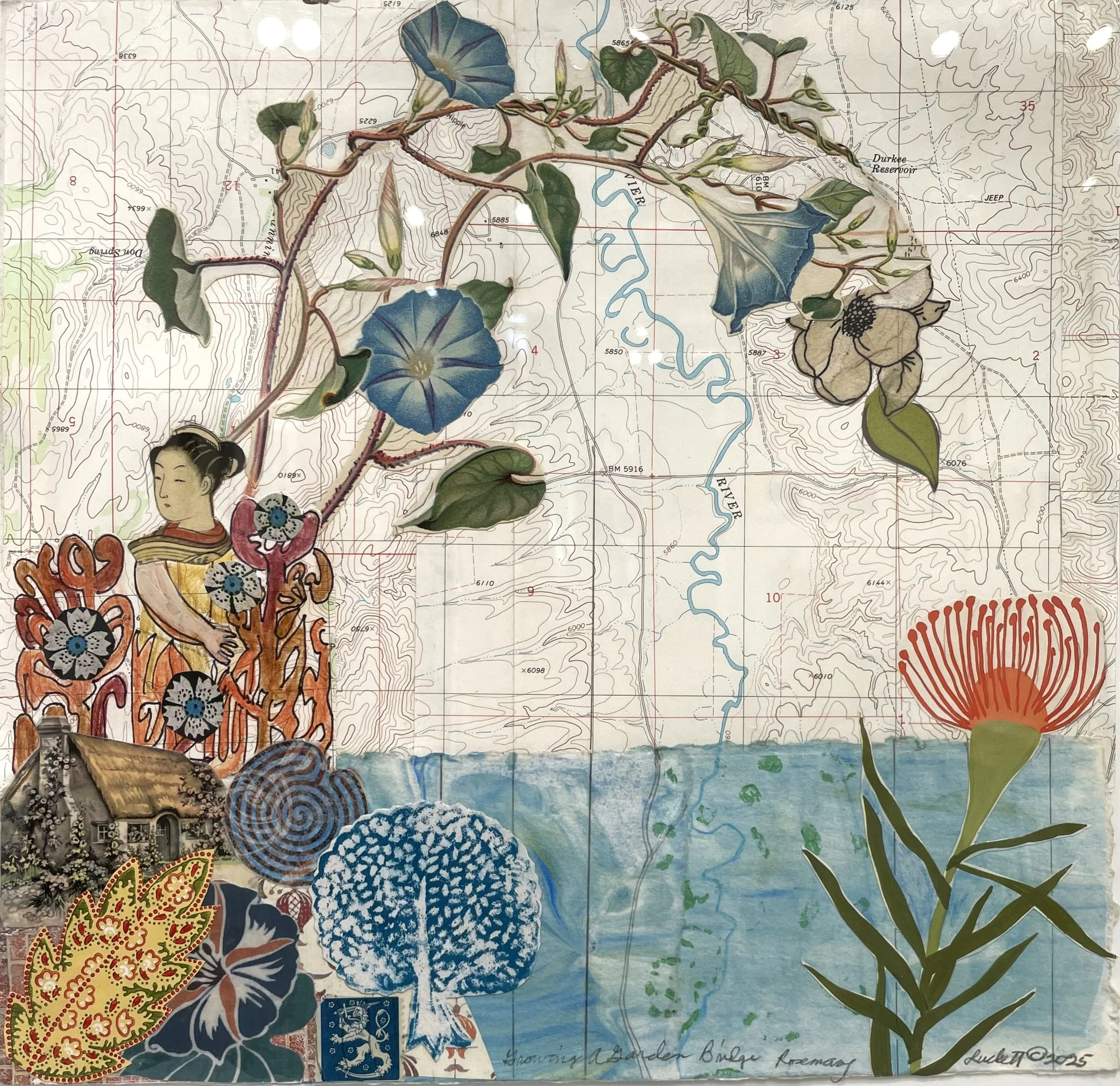 Growing My Own Bridge.jpeg