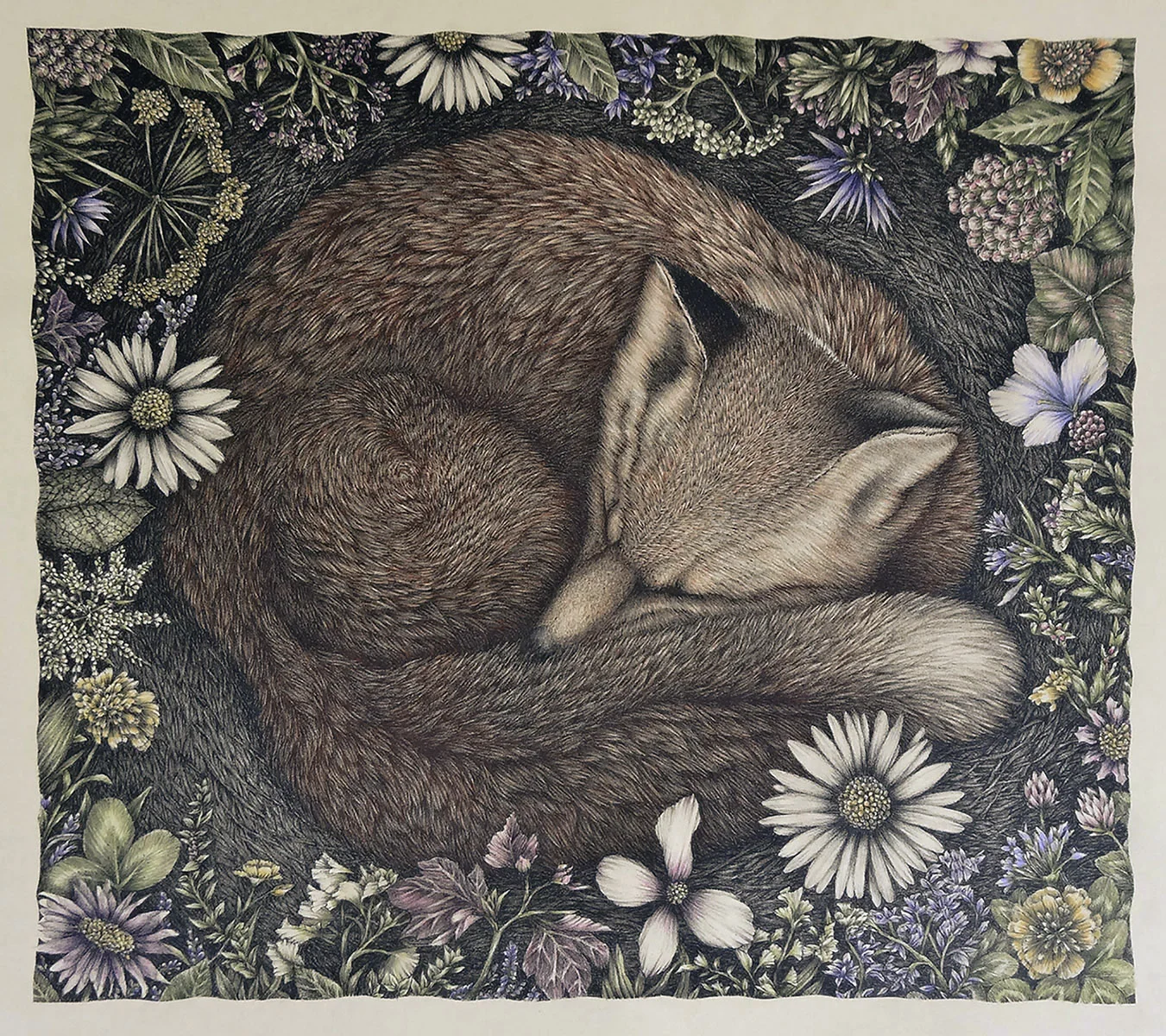 Over in the Meadow, Hand colored lithograph