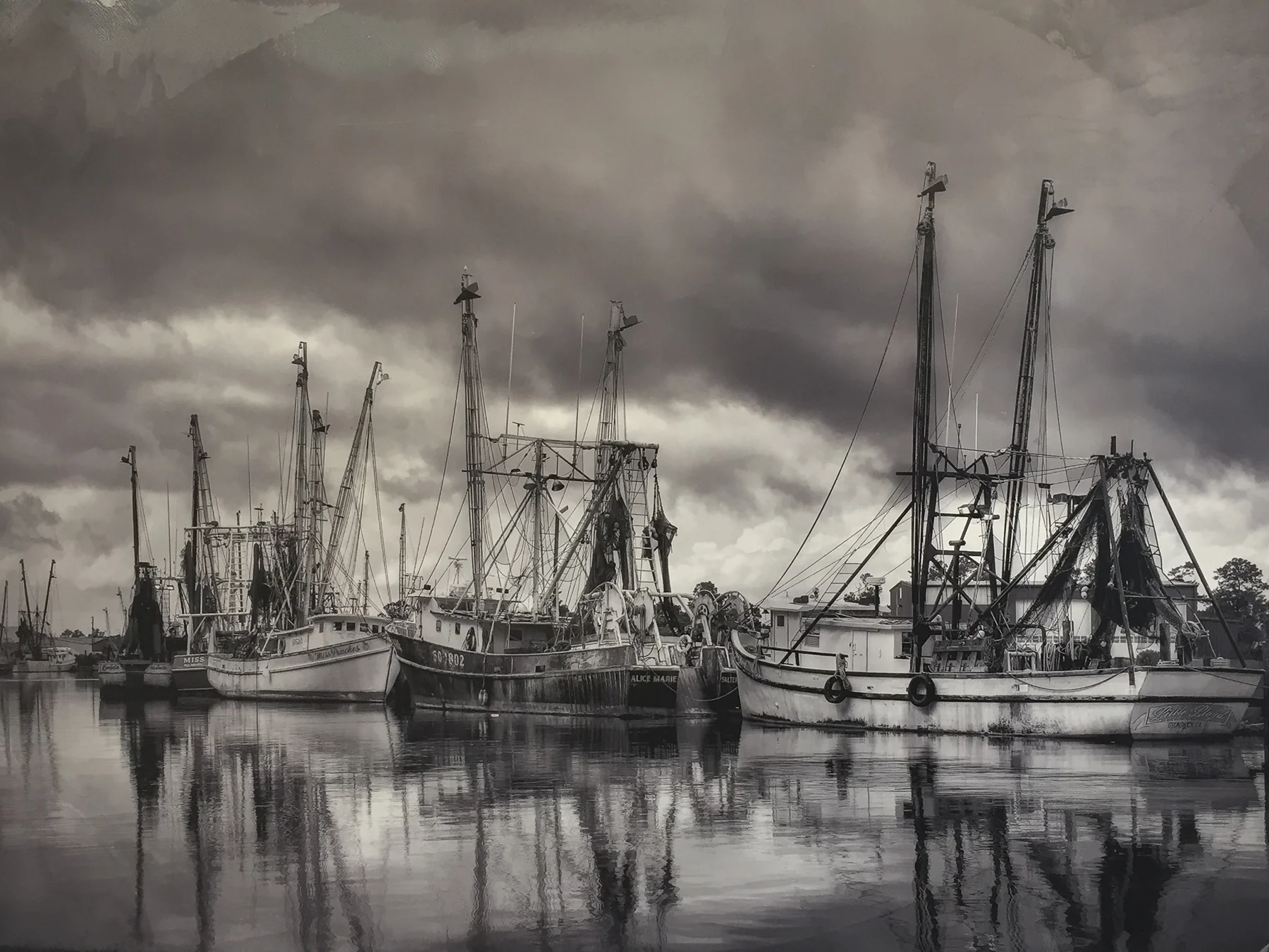 The Fleet's In