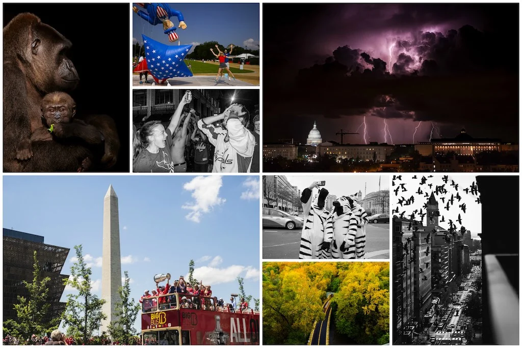 Exposed DC 2019 – 13th Annual Photography Exhibition