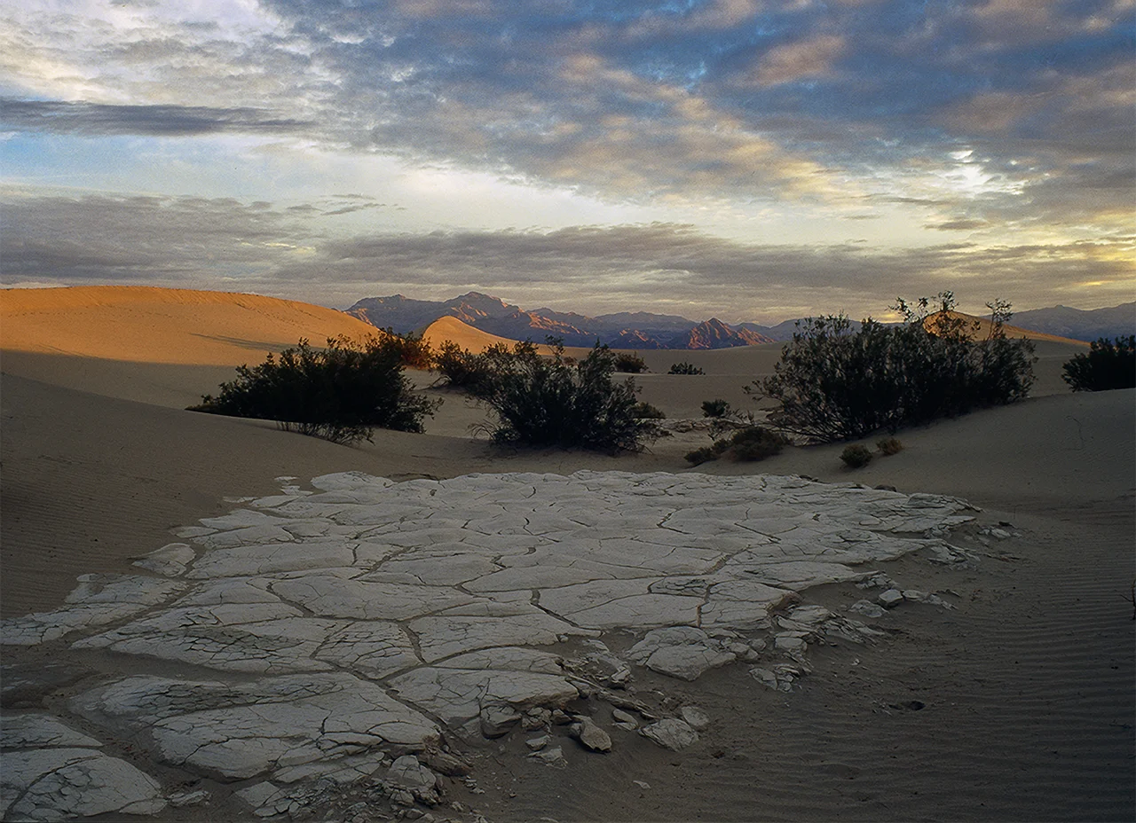 Dunes at Sunset/Harvey Kupferberg