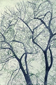American Elm II, Etching with aquatint and soft ground