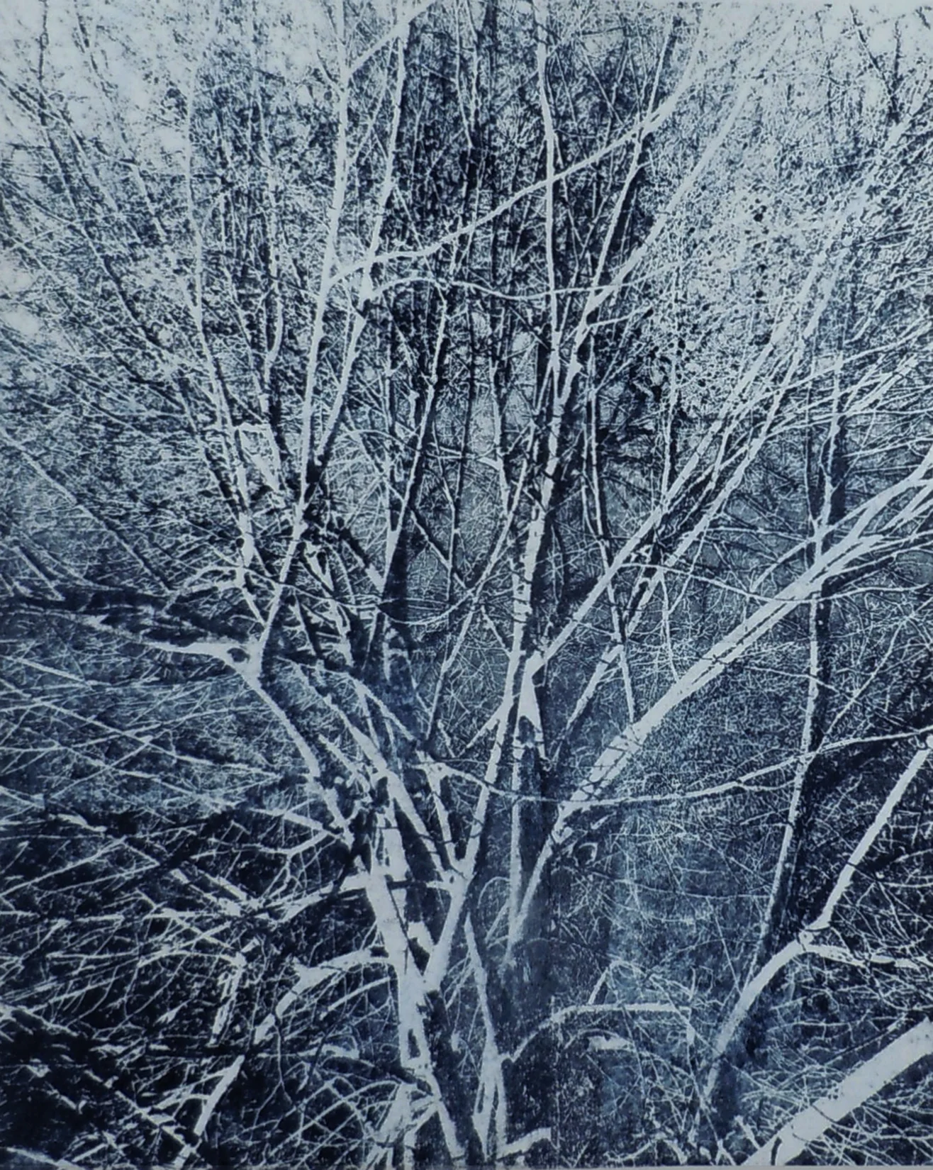 Branches IV , Unique Paper Plate Lithograph