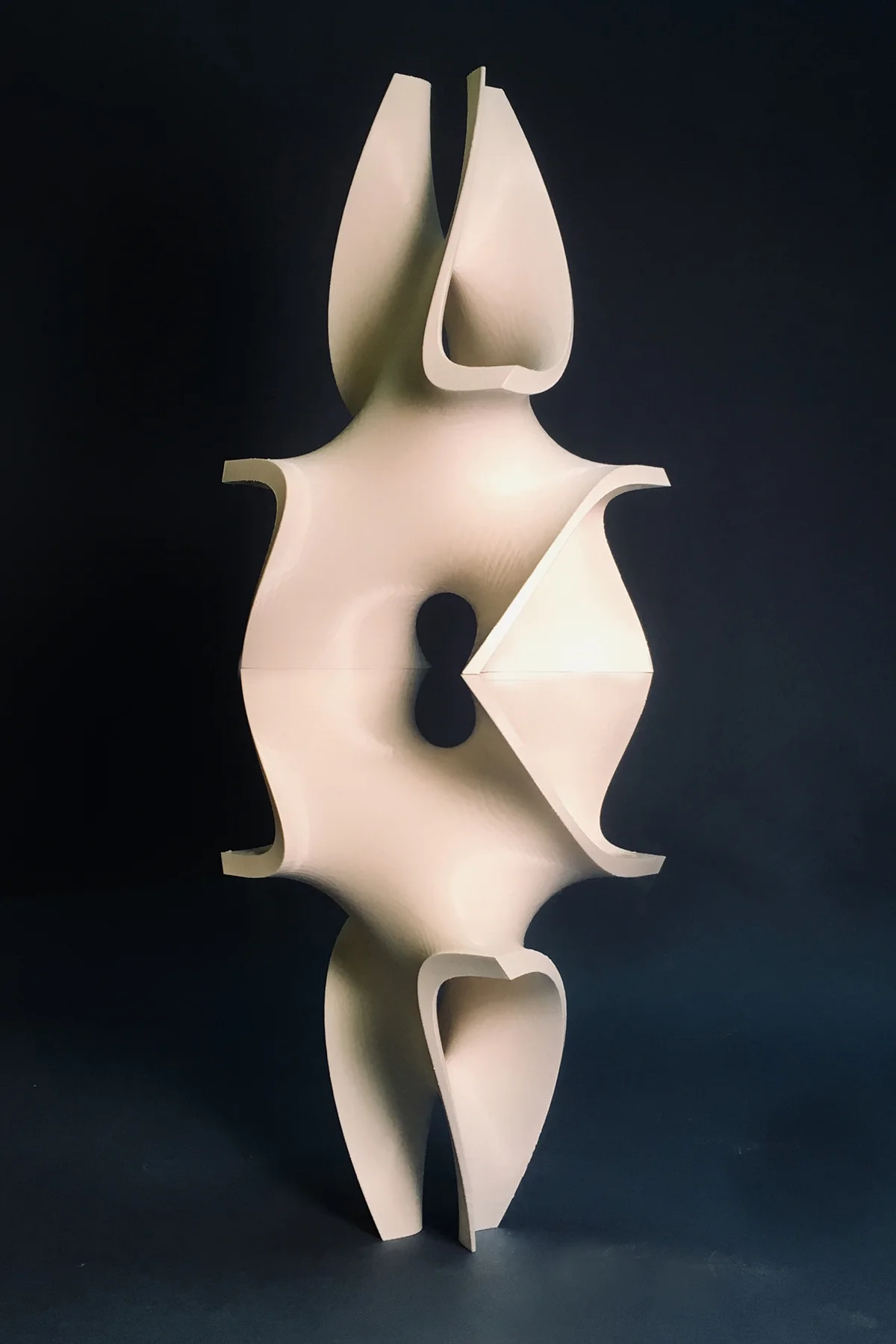 Minimal Surfaces by Davide Prete (Spotlight Winner)