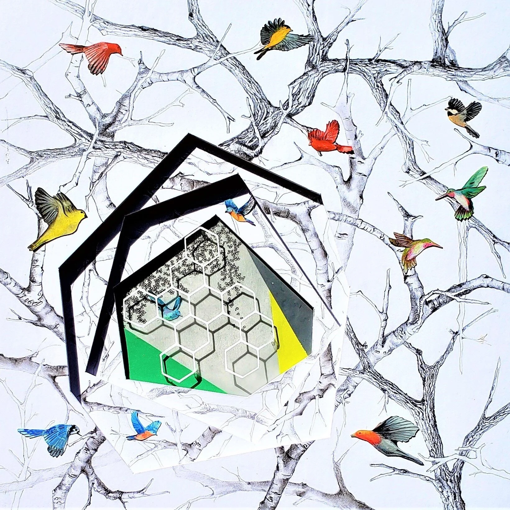 Urban Nest 2