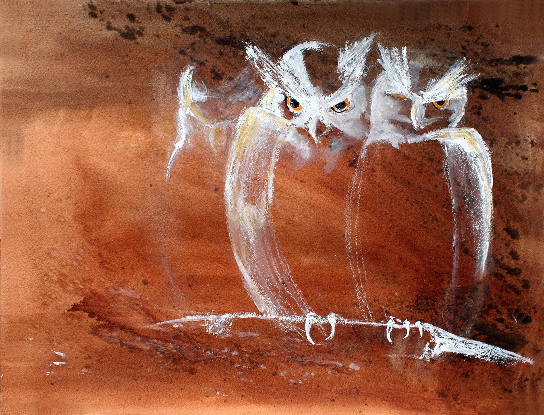 AVIAN ATTITUDES: Owls, Hawks and a Vulture by COLLEEN SABO