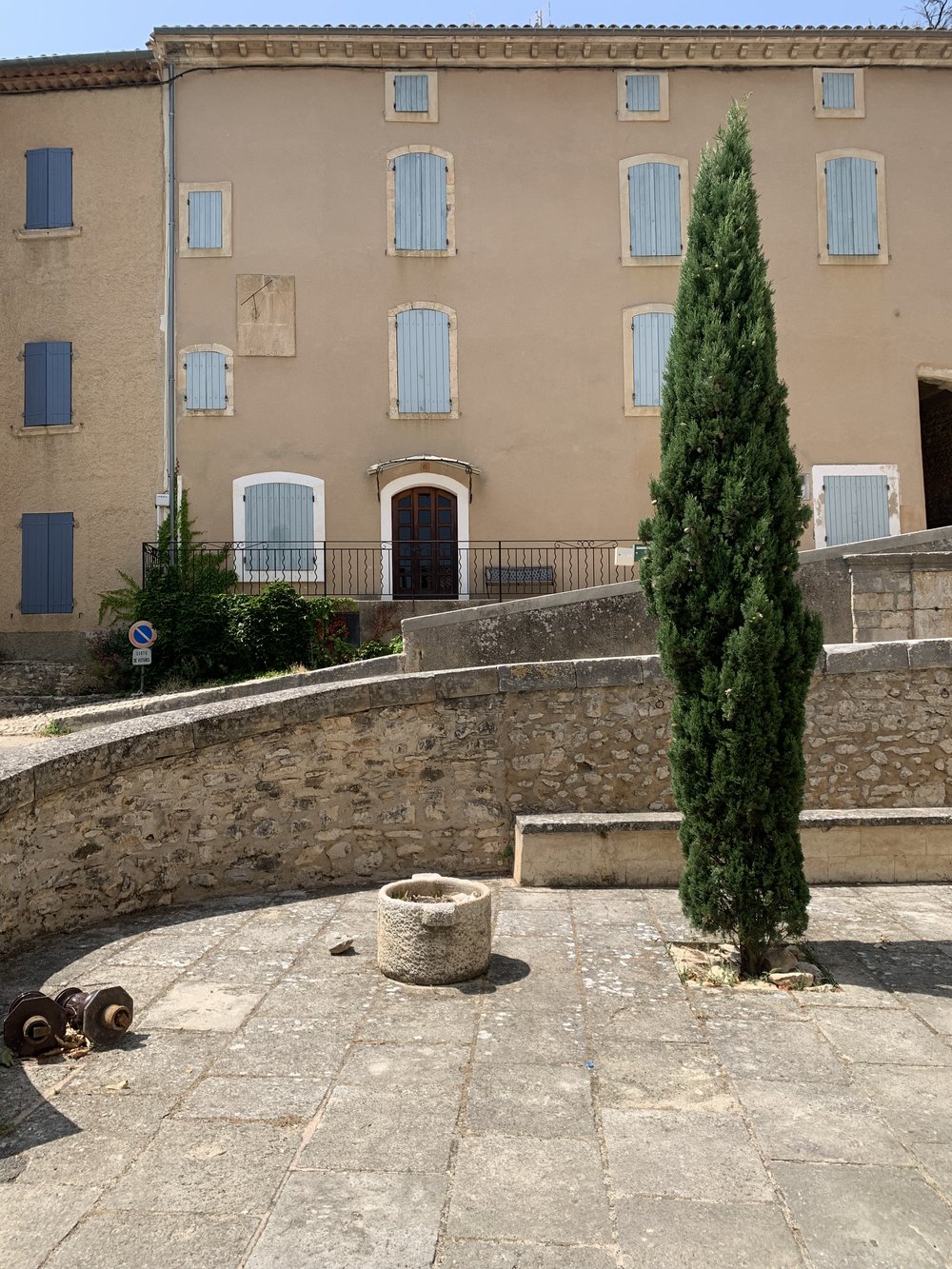 Cypress tree at the square in St. Sat.jpg