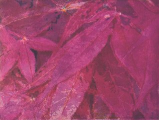 Red Japanese Maple Leaves