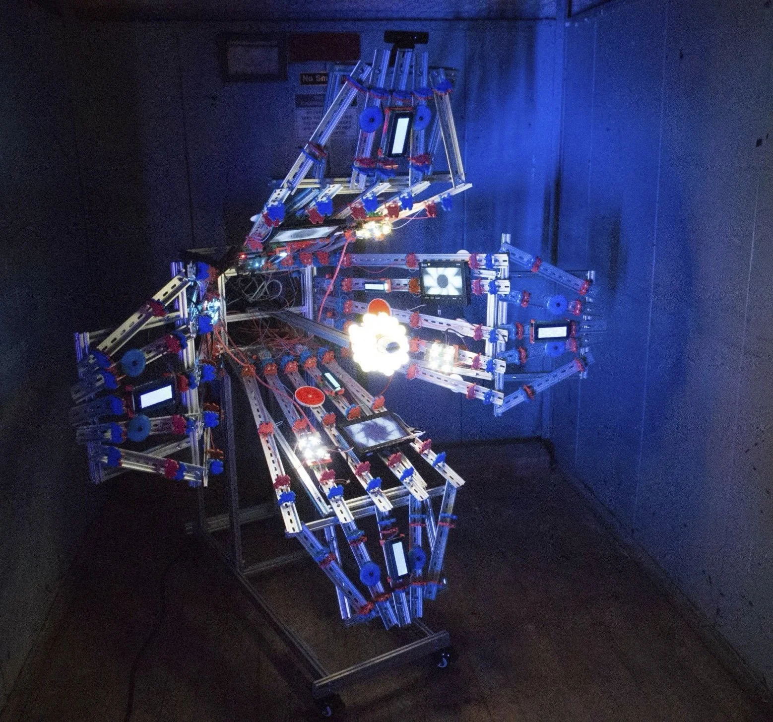 50 for 50 Interactive: Pollination by Chris Combs