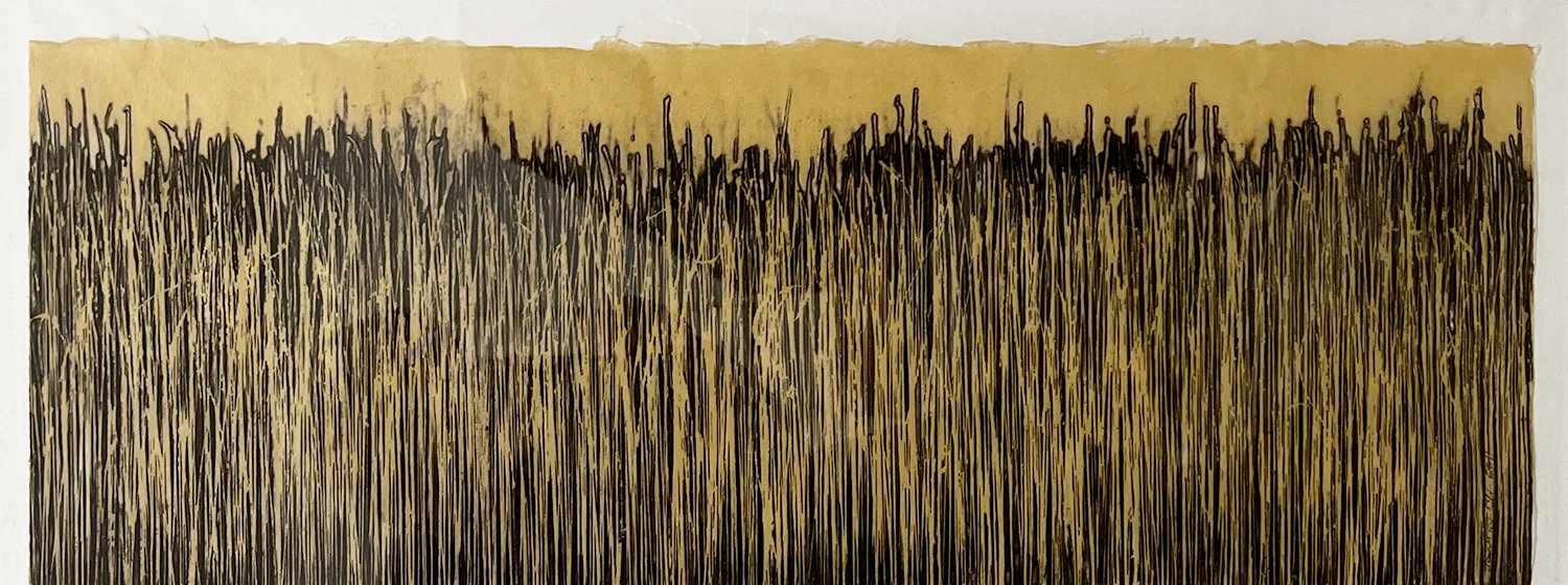 Mary D. Ott - 2026-01-06 22.43.08 - Wide Grass II.jpg