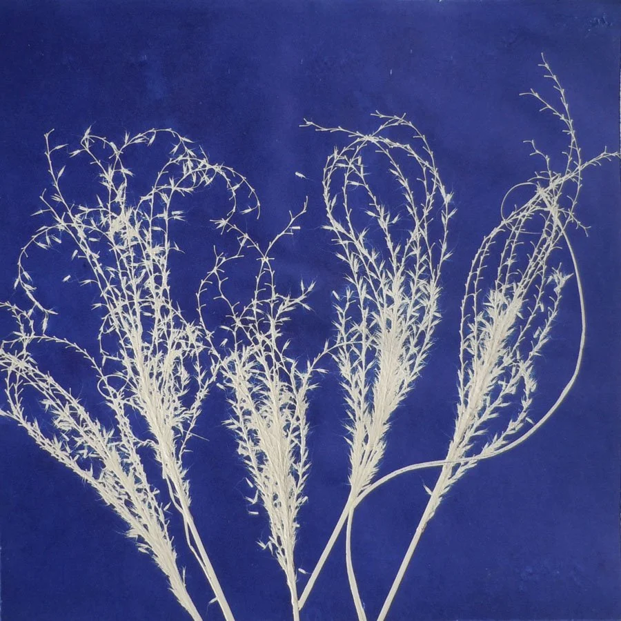 9 Large Blue Grasses I.jpeg