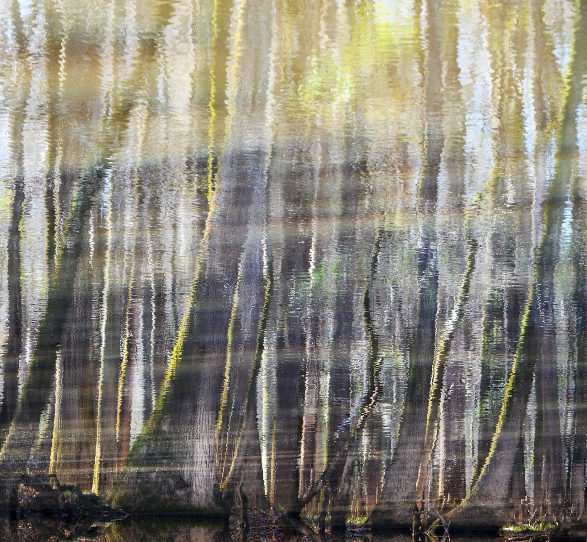 AHFA Mirrored Silence.jpg