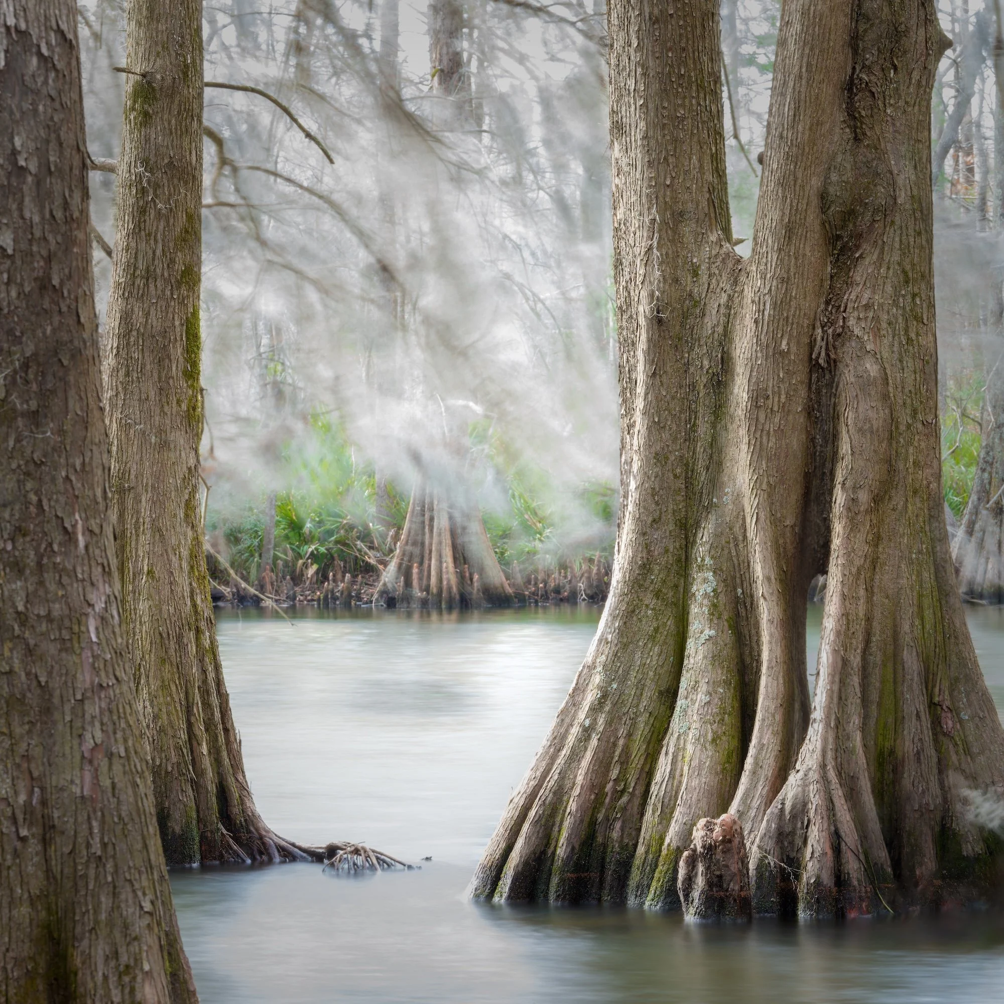 AHFA Contemplation, Lake Marion.jpg
