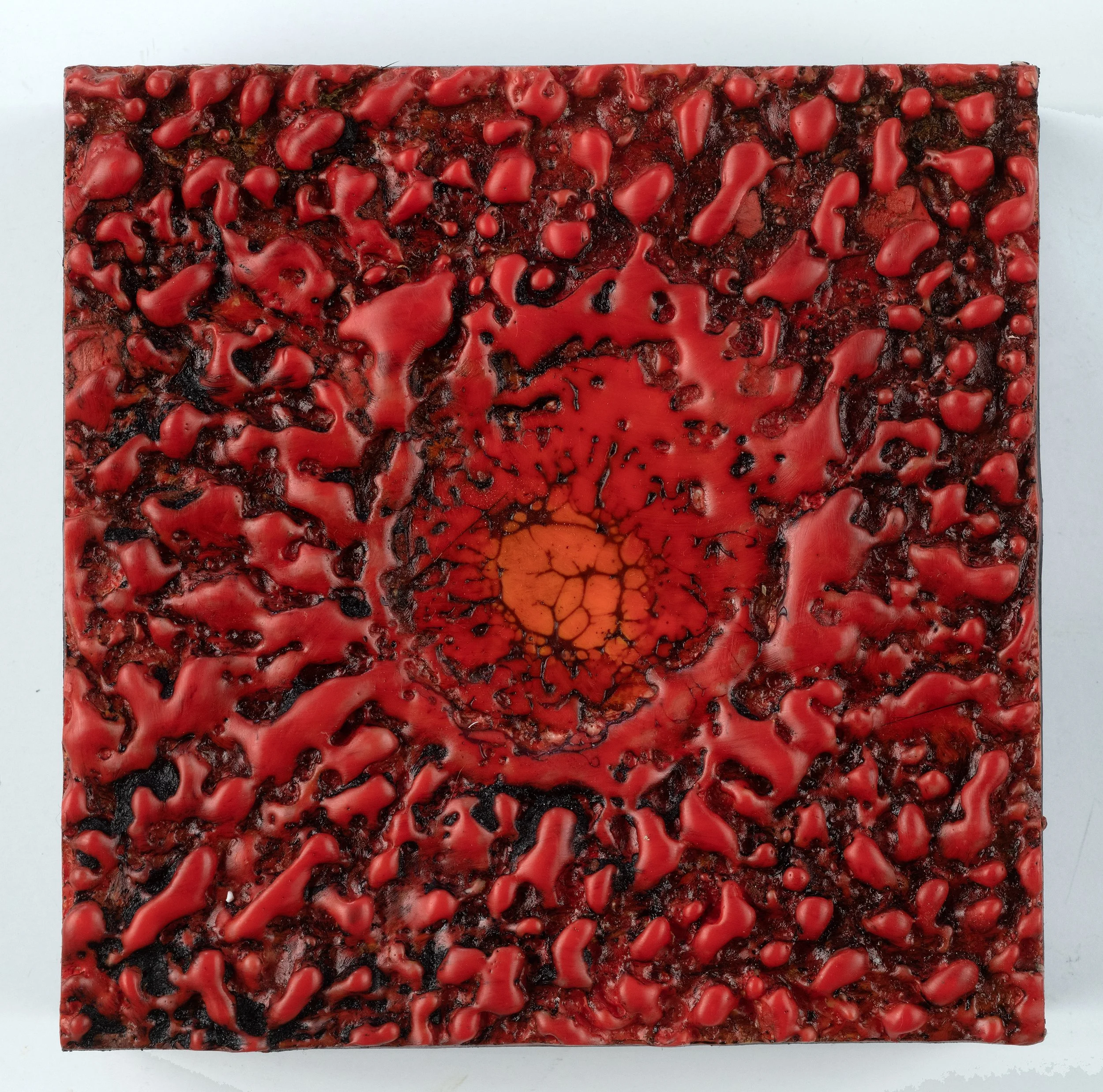 Lesley Clarke - Snippets176x6-.jpg
