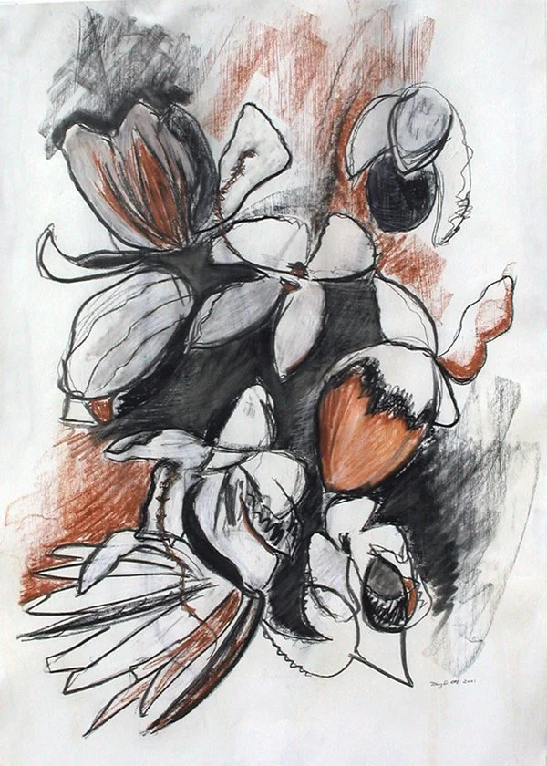 Mary D. Ott - 2026-01-06 22.42.57 - Seed Pods.jpg