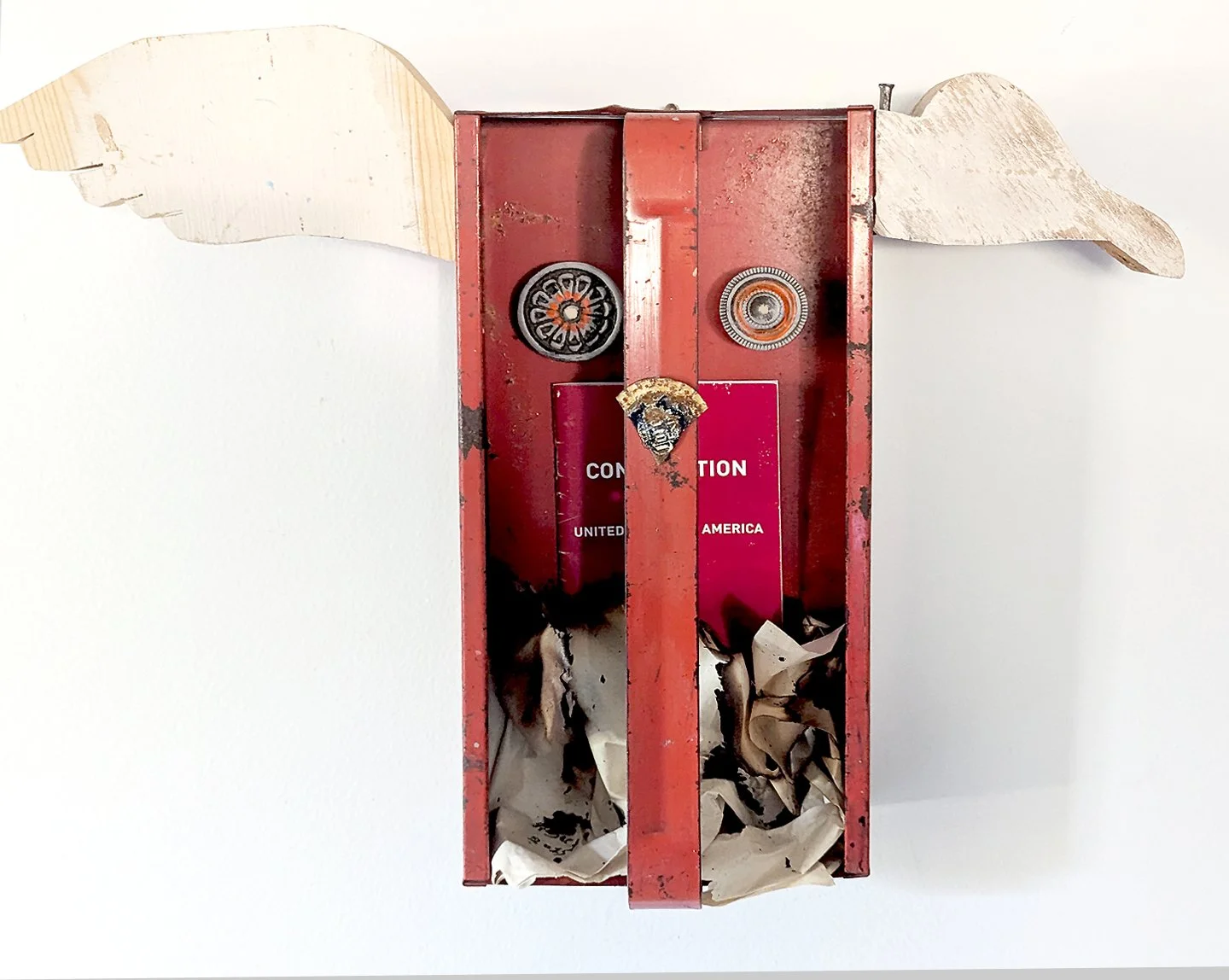 Democracy's Toolbox Being Destroyed Rosemary Luckett (1).jpg