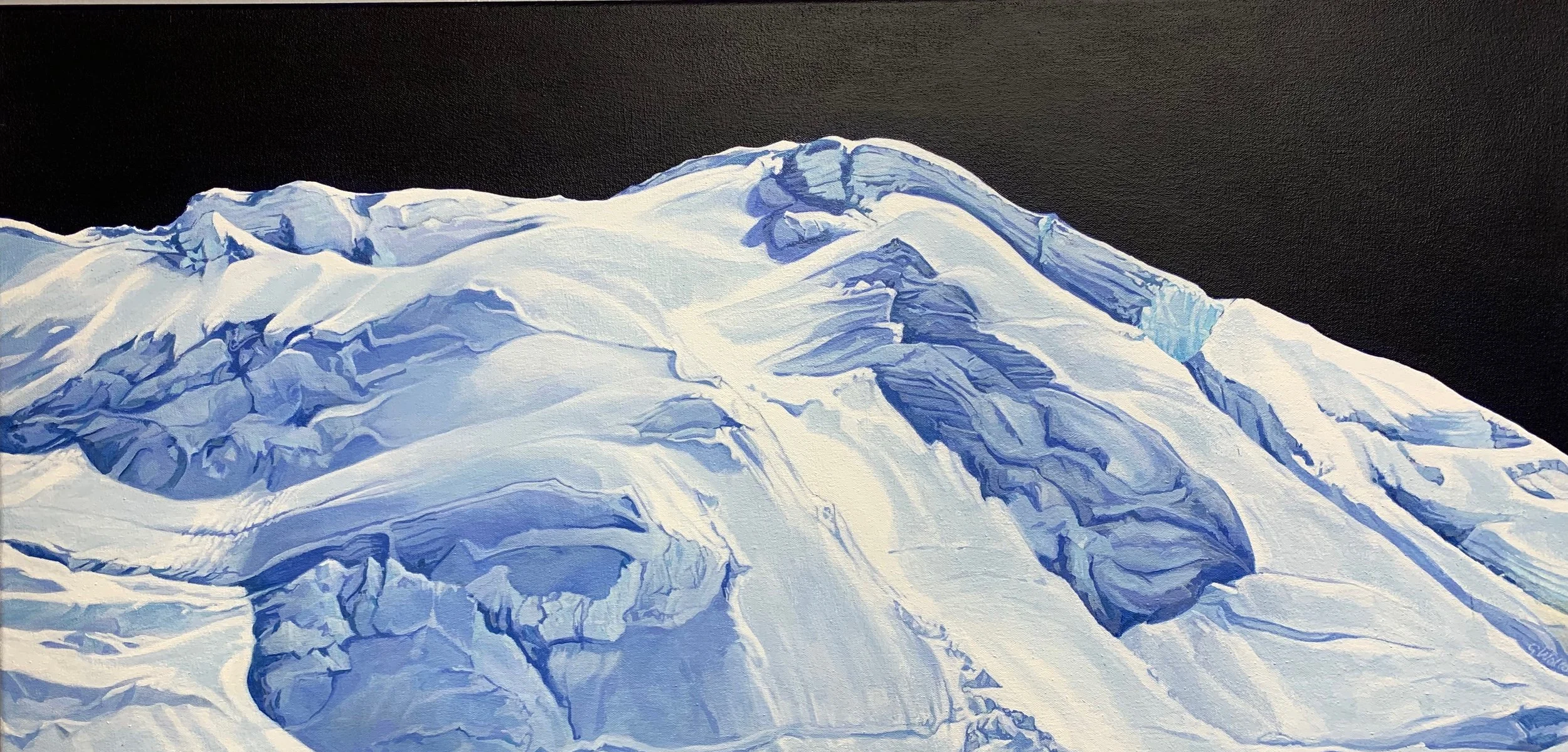 Snowbreak Gale Wallar.jpeg