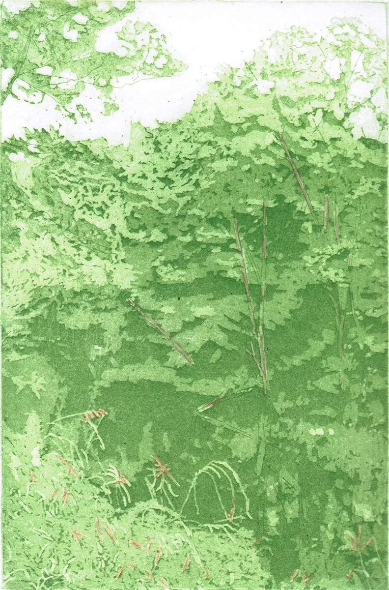 Mary D. Ott - 2026-01-06 22.42.44 - New England Scene.jpg