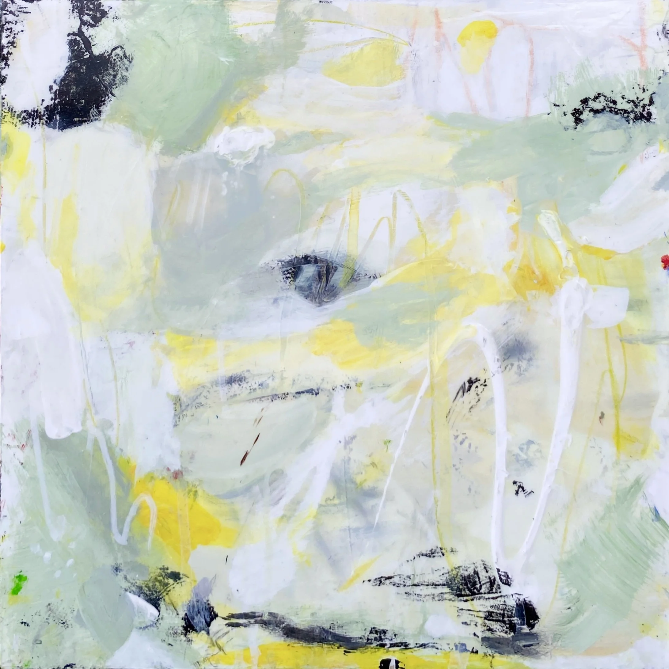 Susan Dykeman - DykemanSoloAGatheringMist.JPG