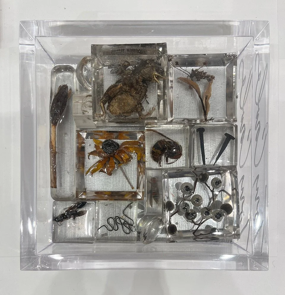 S1346 Dead Bird Box 200p.jpeg