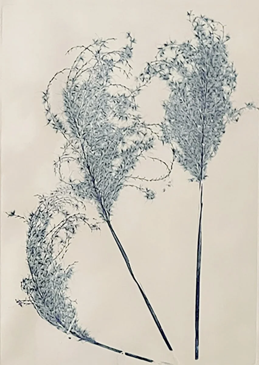 Blue Bouquet Series #8 rev Mary D. Ott.jpg