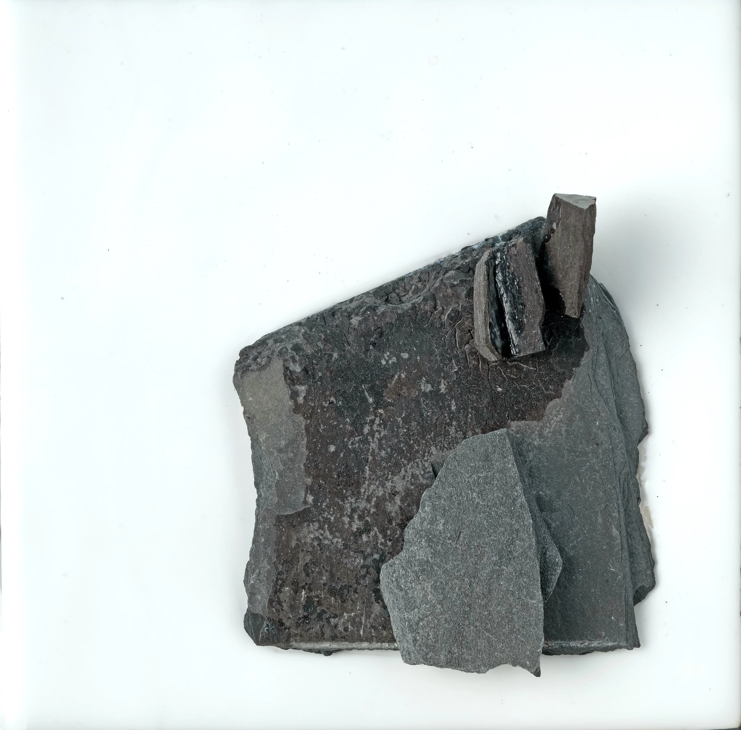 Lesley Clarke - Snippet96-x6-.jpg