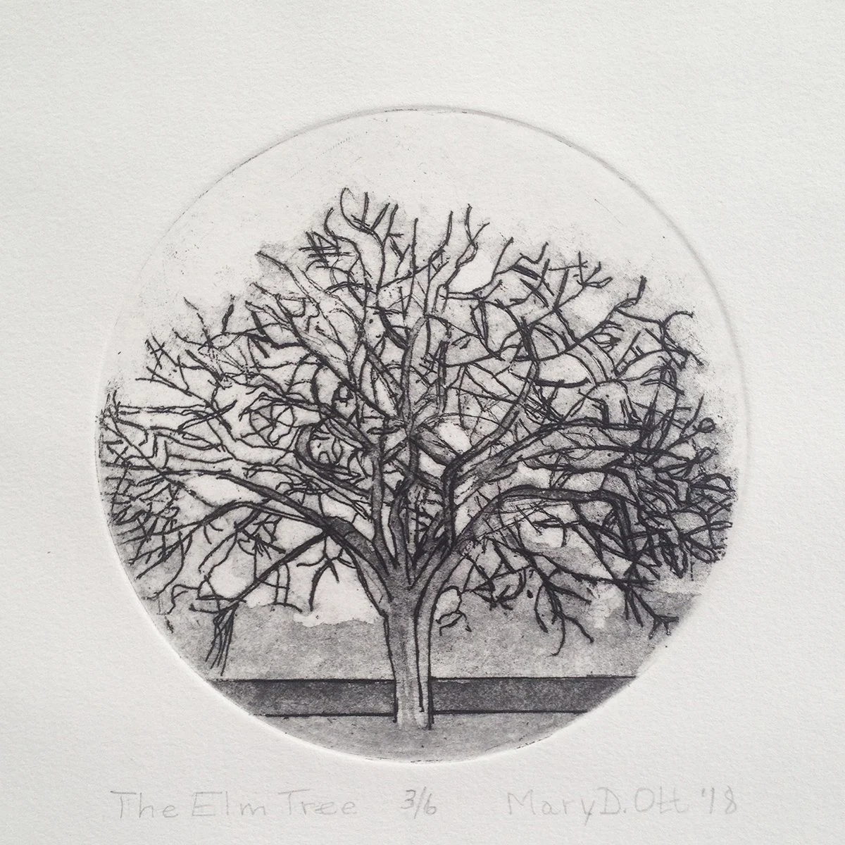 Mary D. Ott - 2026-01-06 22.43.05 - The Elm Tree.jpg