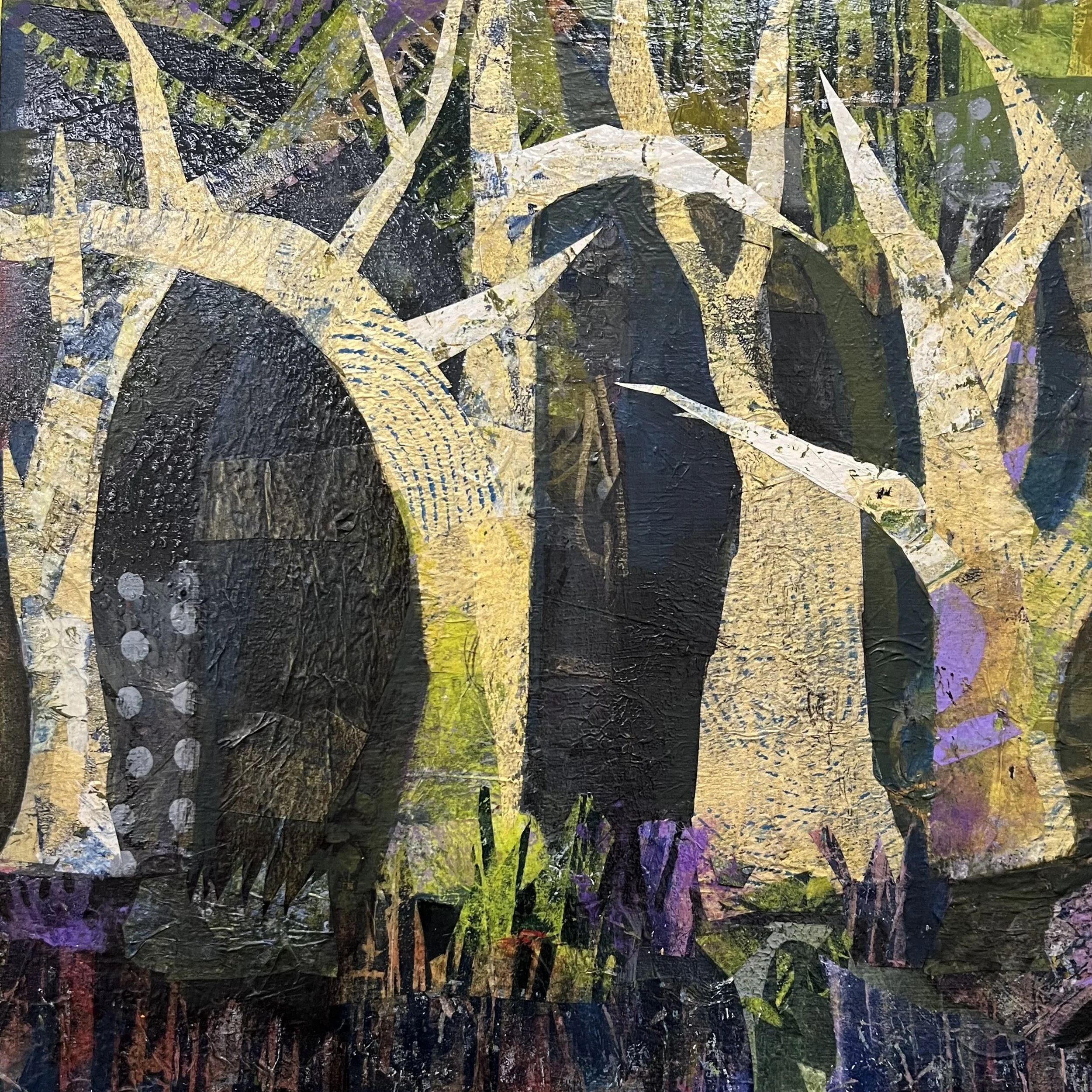 Amy Sabrin IMG_0263 (1).jpeg