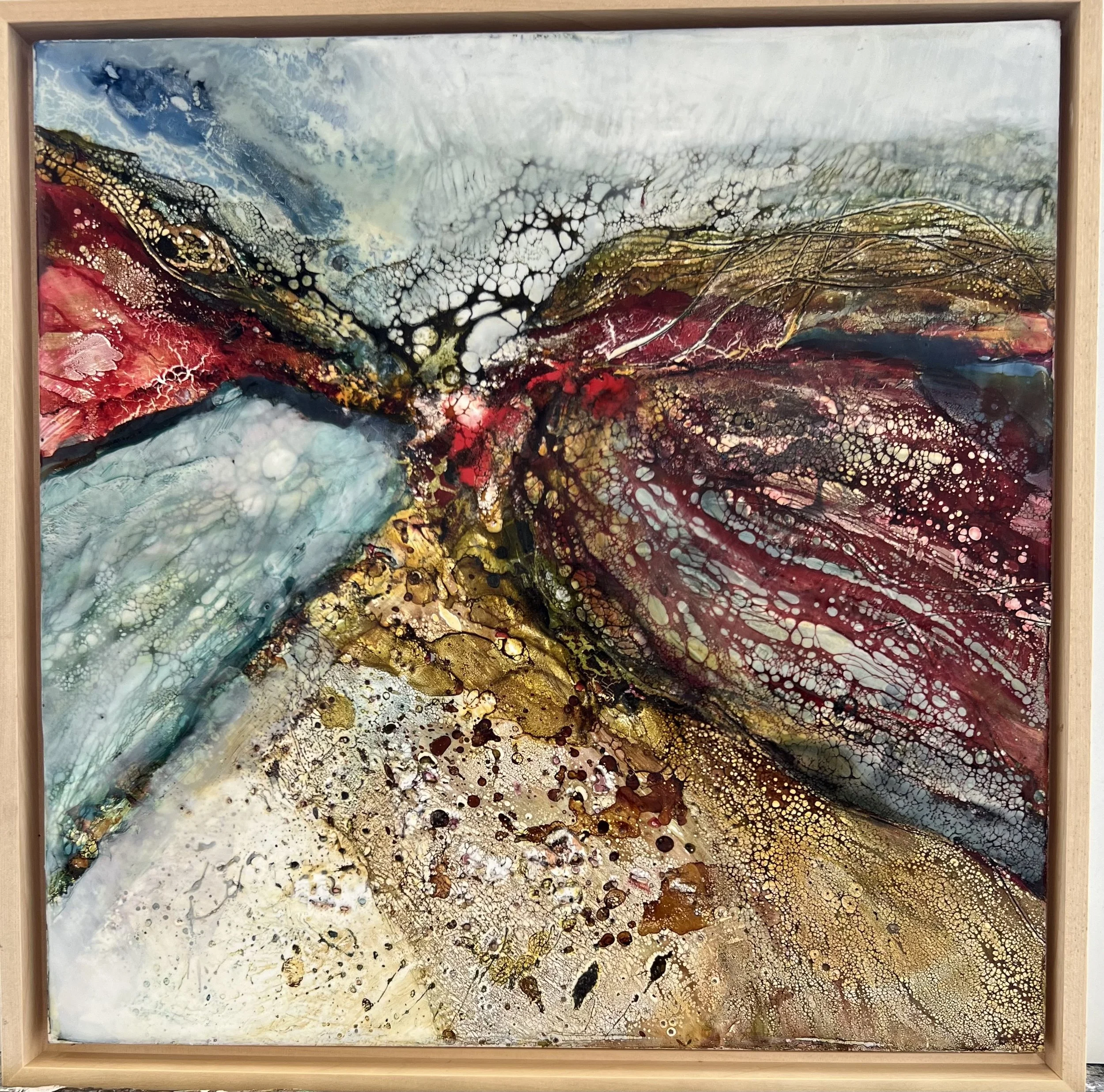 Lesley Clarje IMG_5635.jpeg