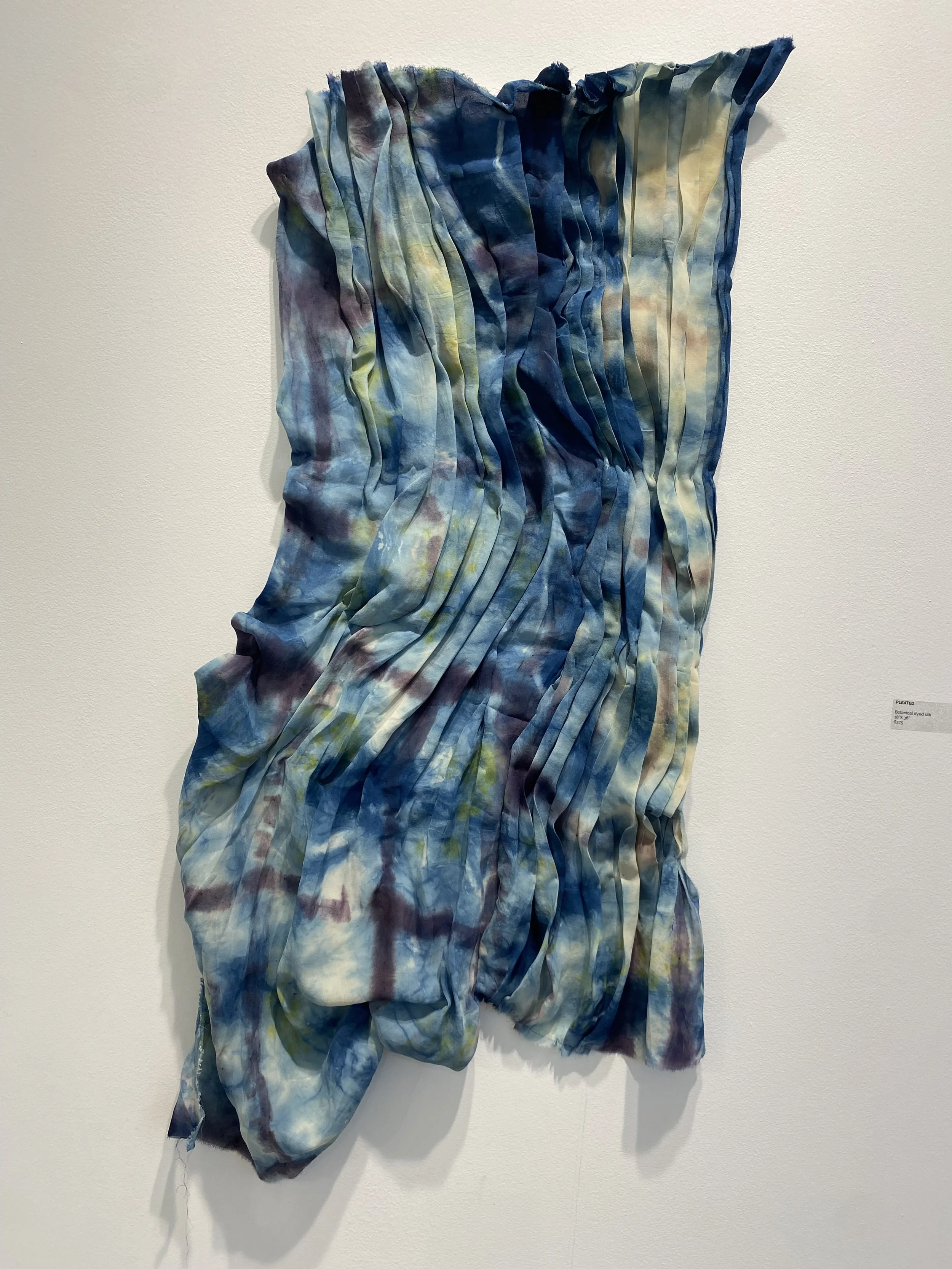 Susi Cora IMG_3299.jpeg