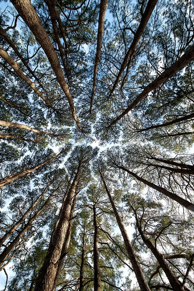 Shared Boundaries_TS Anice Hoachlander.jpg