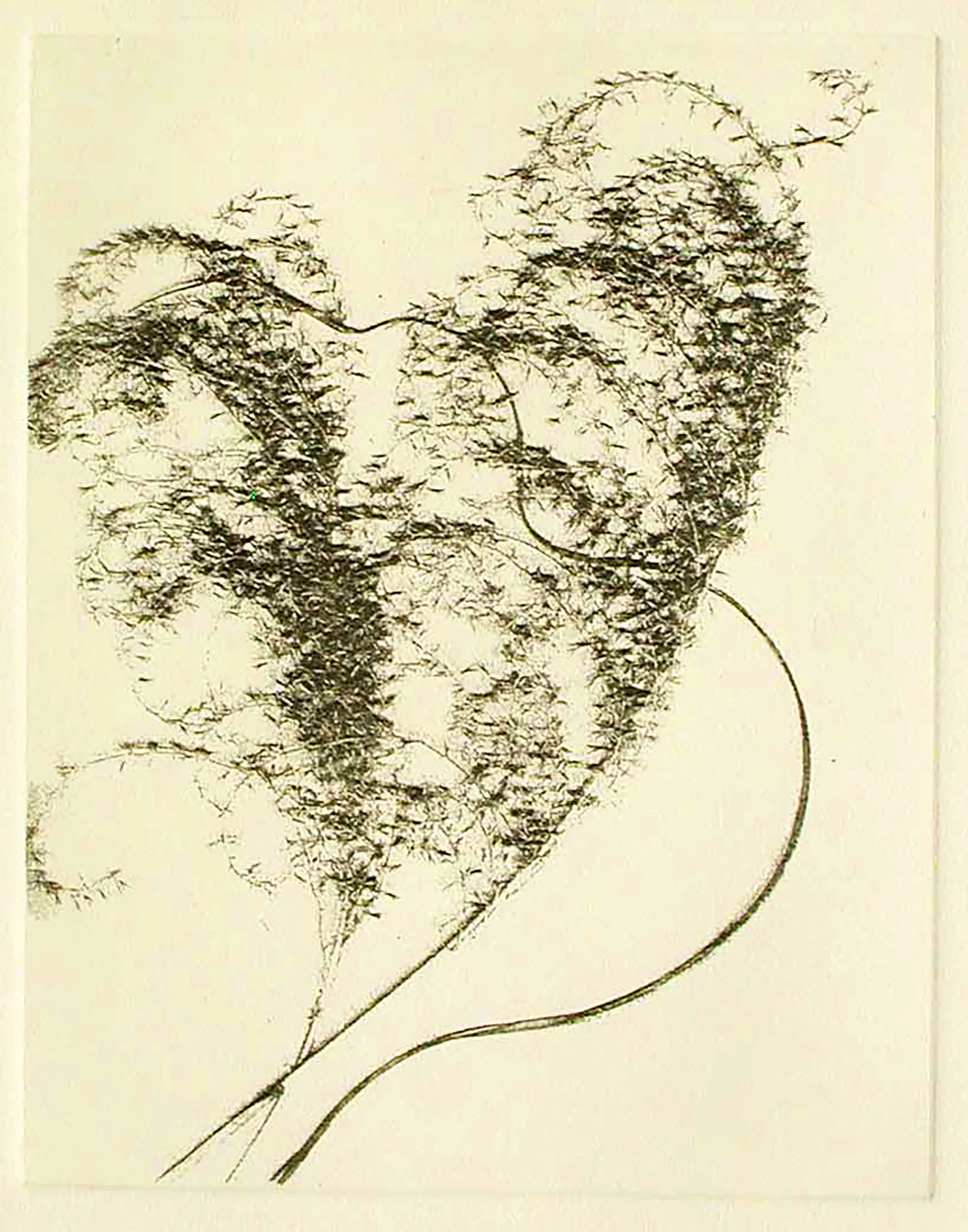 Mary D. Ott - Bouquet of Grasses III.jpg