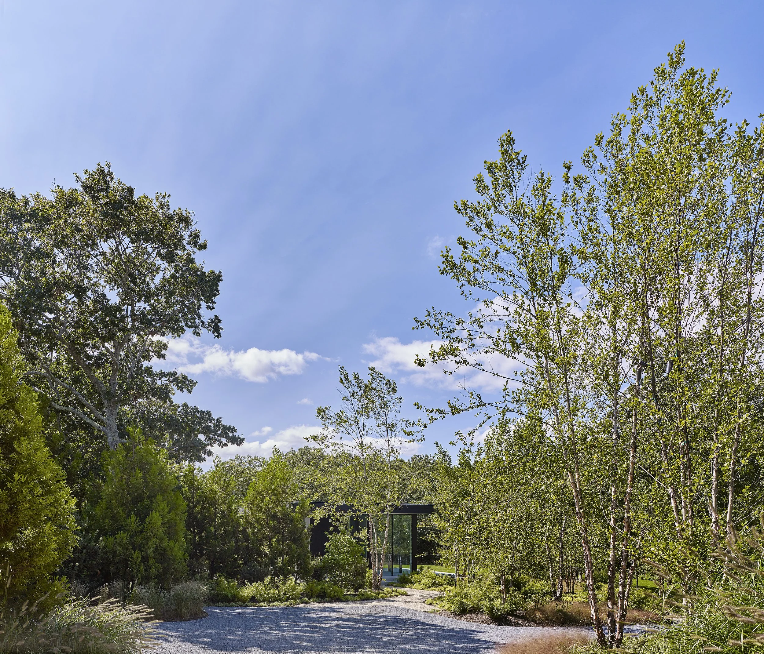 Waters Edge_64.jpg