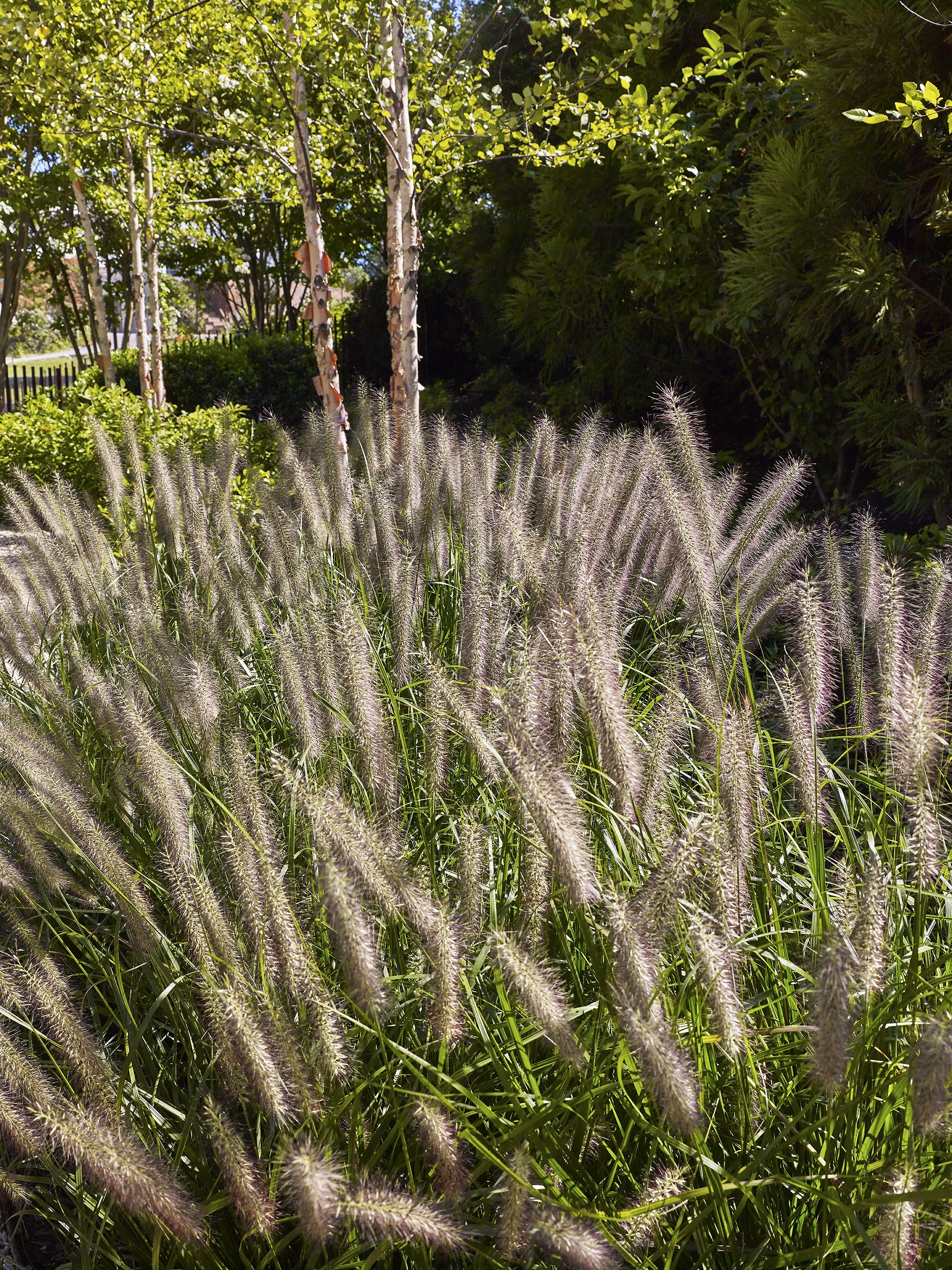 Waters Edge_76.jpg