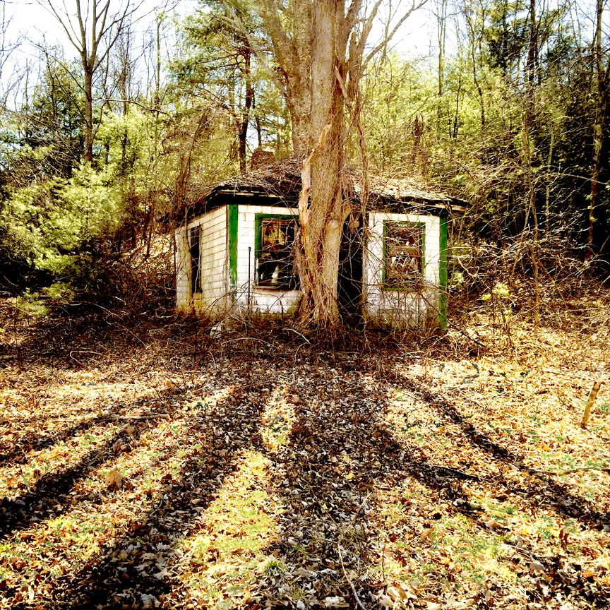 Treehouse