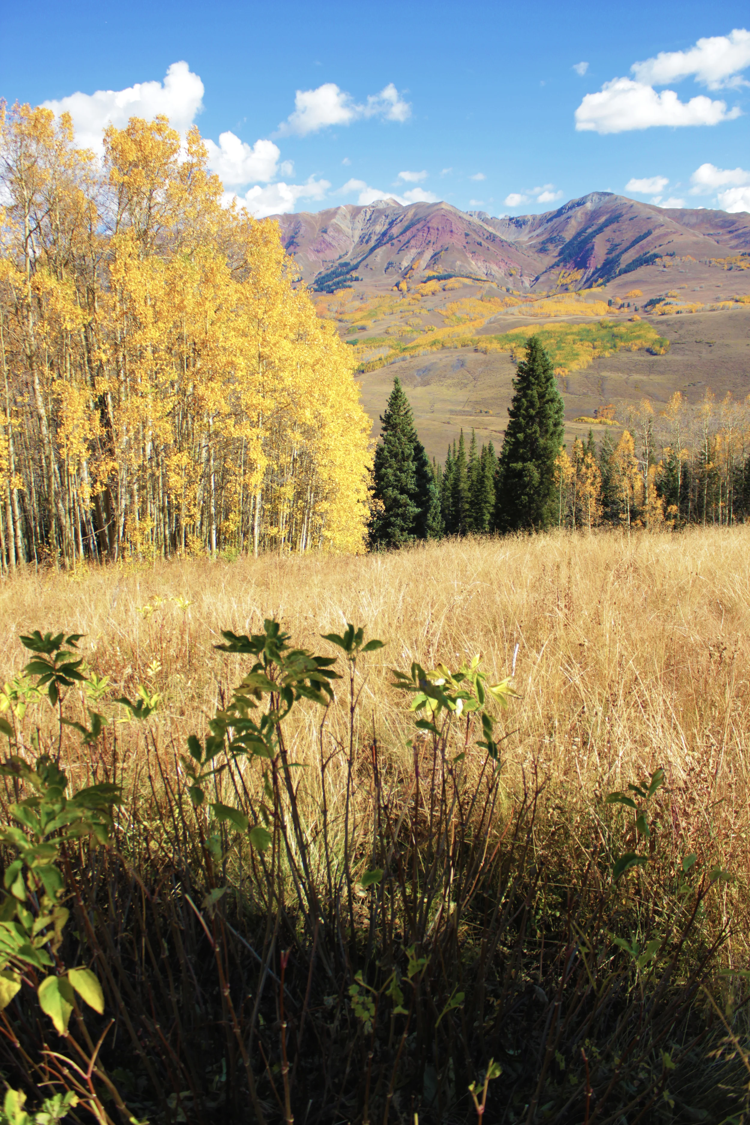 Crested Butte, CO