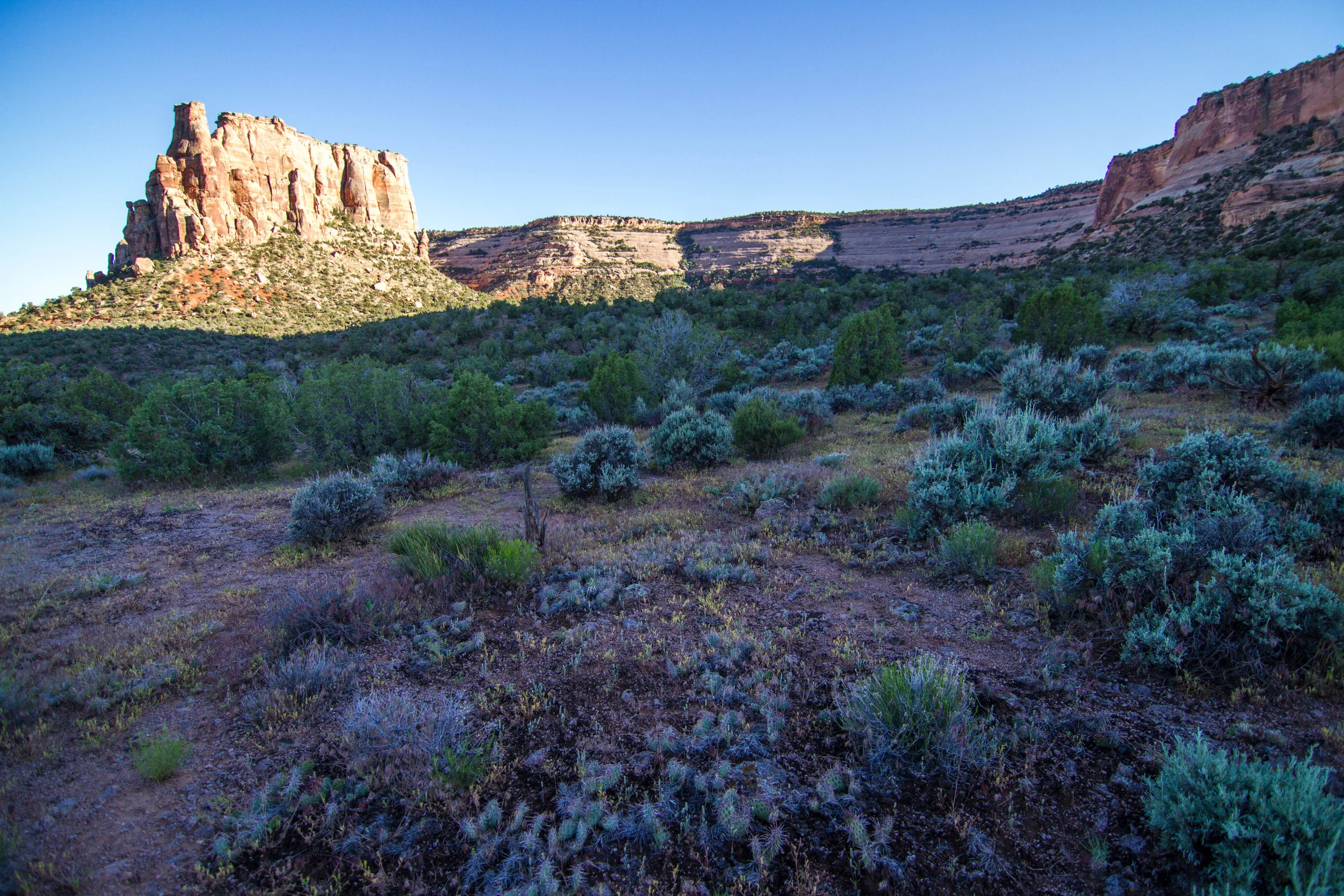 Grand Junction, CO