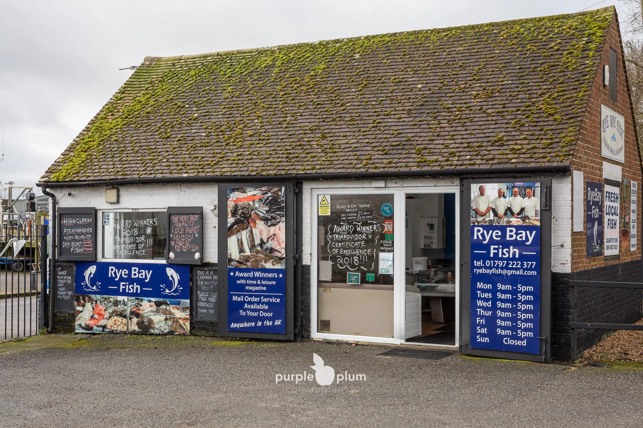 Rye Bay Fish