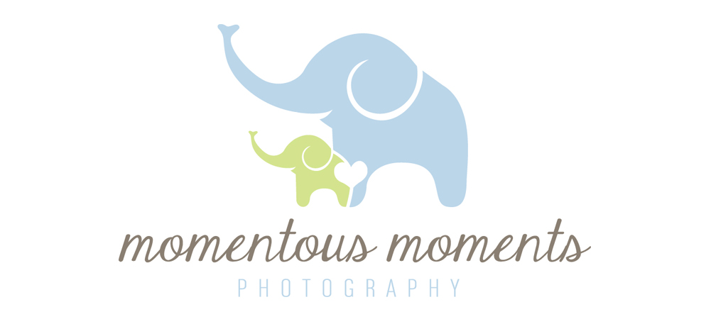 Momentous Moments Photography