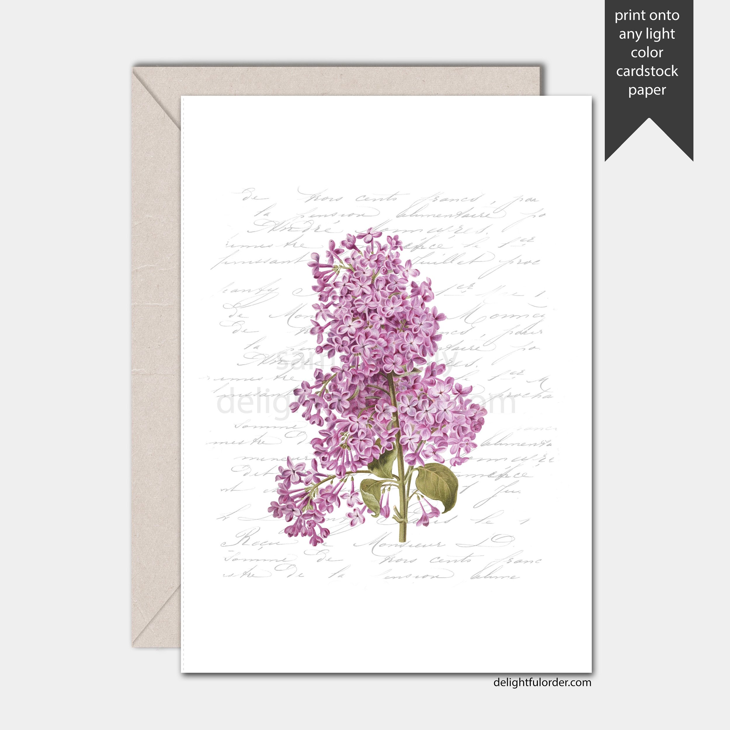 https://i.etsystatic.com/6146170/r/il/b6c41d/2284059468/il_fullxfull.2284059468_edph.jpg