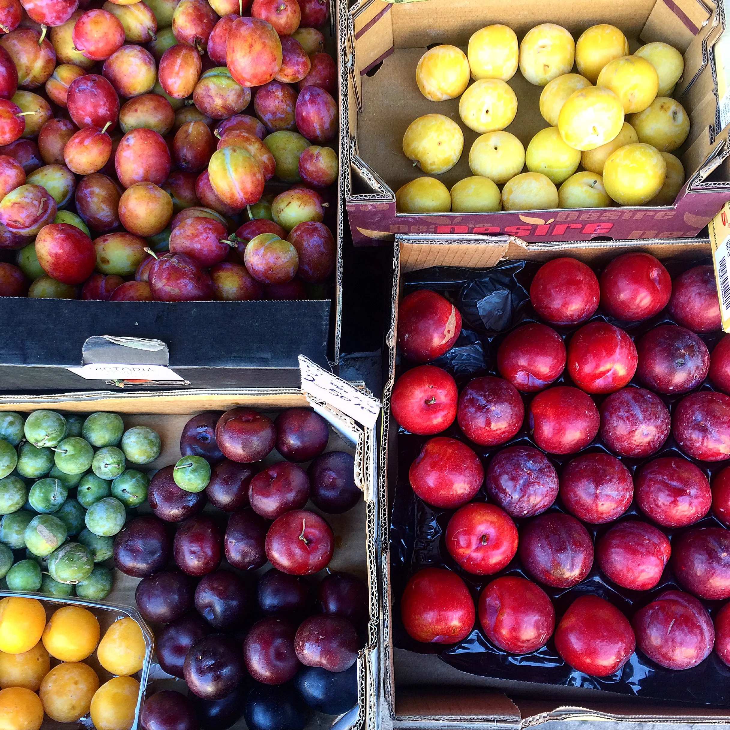 Plums.jpg