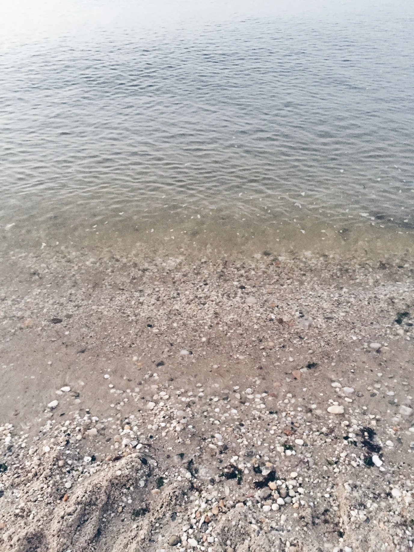 beach.jpg