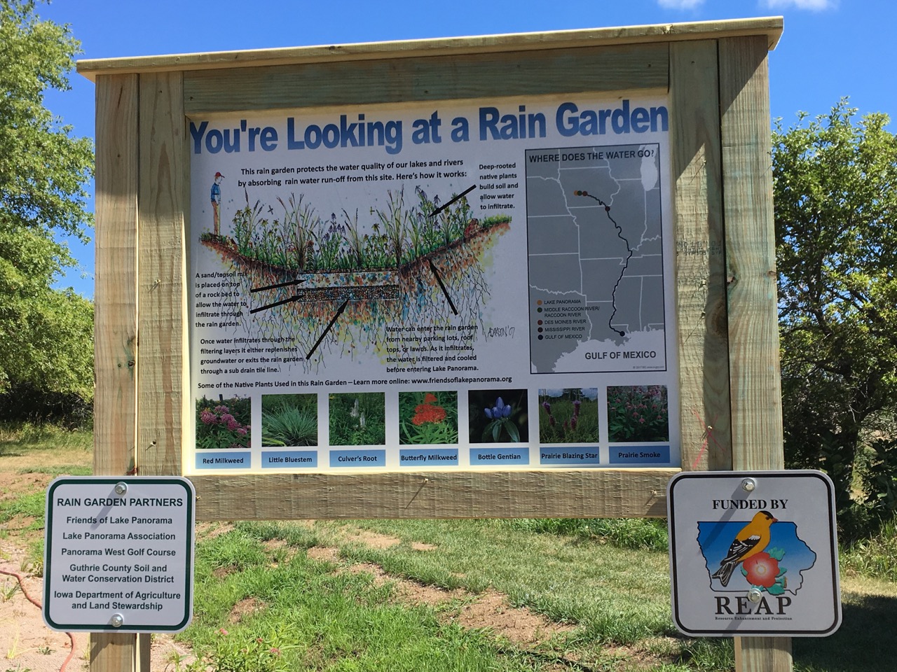 Nearby signs explain how a rain garden functions, highlight some of the plants featured in this garden, and recognize supporting partners. 