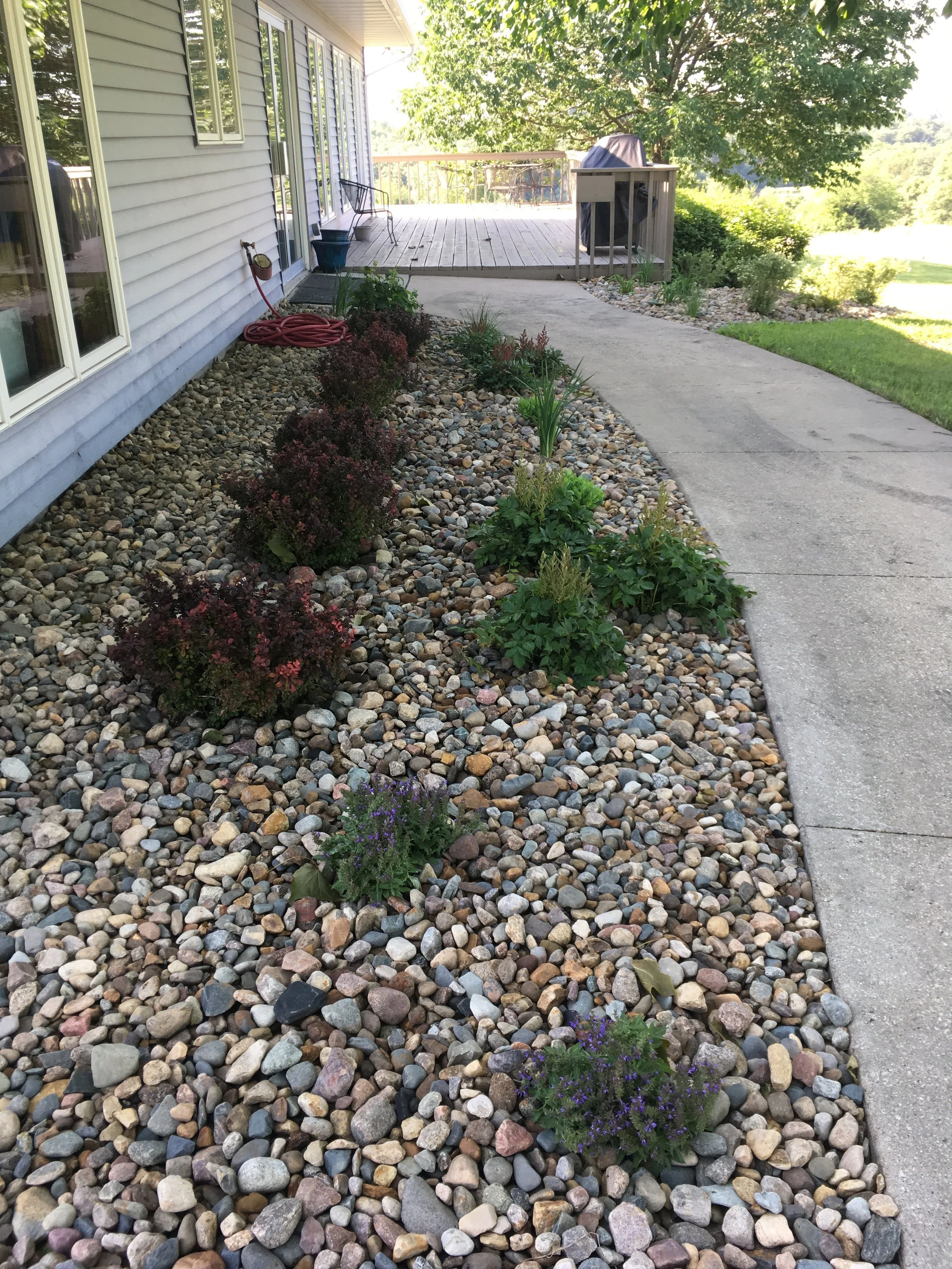 The west side of the Panorama West clubhouse now sports a variety of shrubs and perennial flowers. New plastic and river rock surround the plantings to keep weeds at bay and protect the new plants.