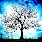 Let It Go:  Pride has no place in productivity.